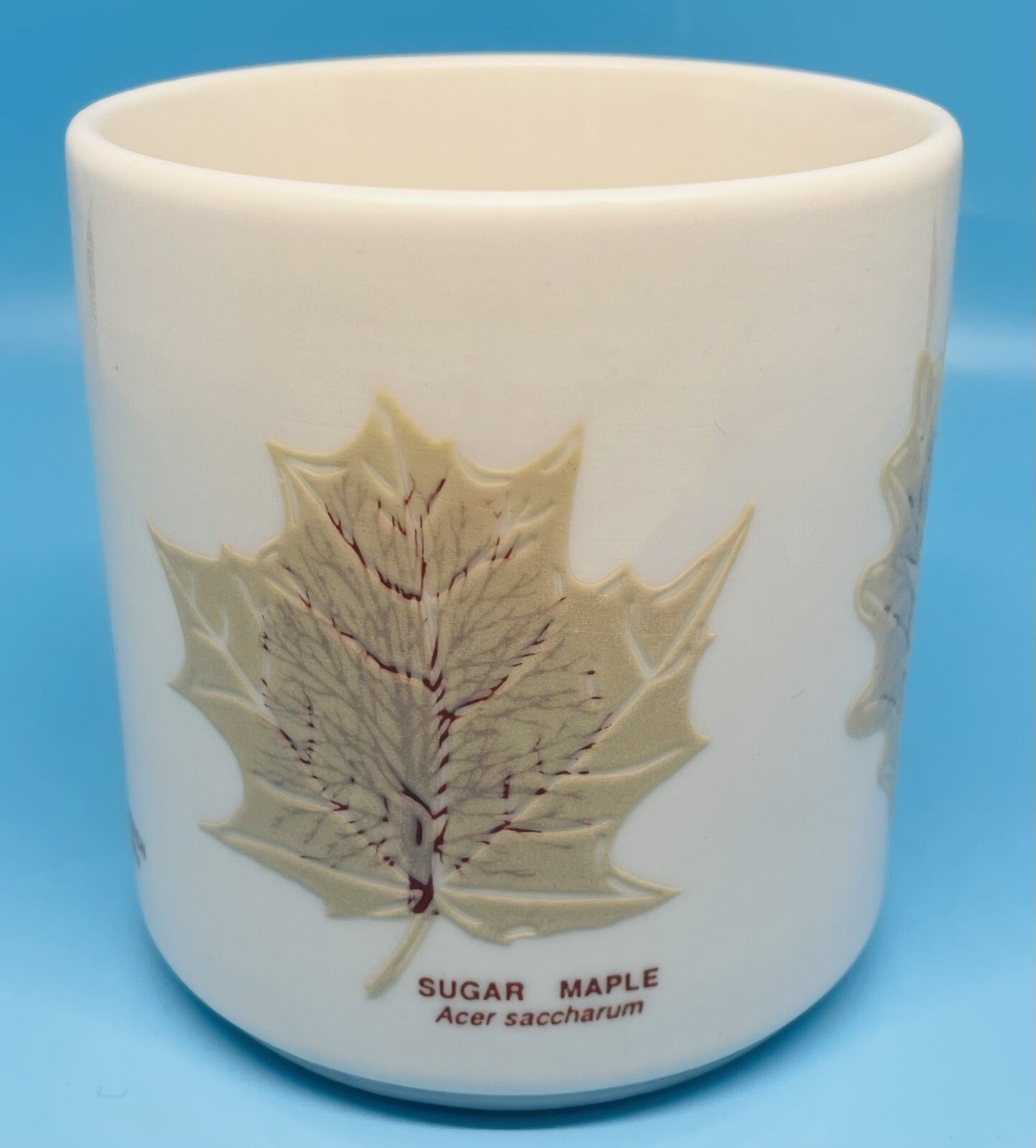 Audubon Naturalist Society Mug Raised Leaves Leaf Identification