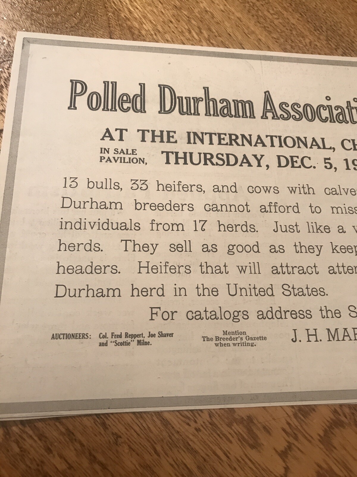 1918 Polled Durham Cattle Public Sale Poster – Chicago – Cow Advertising