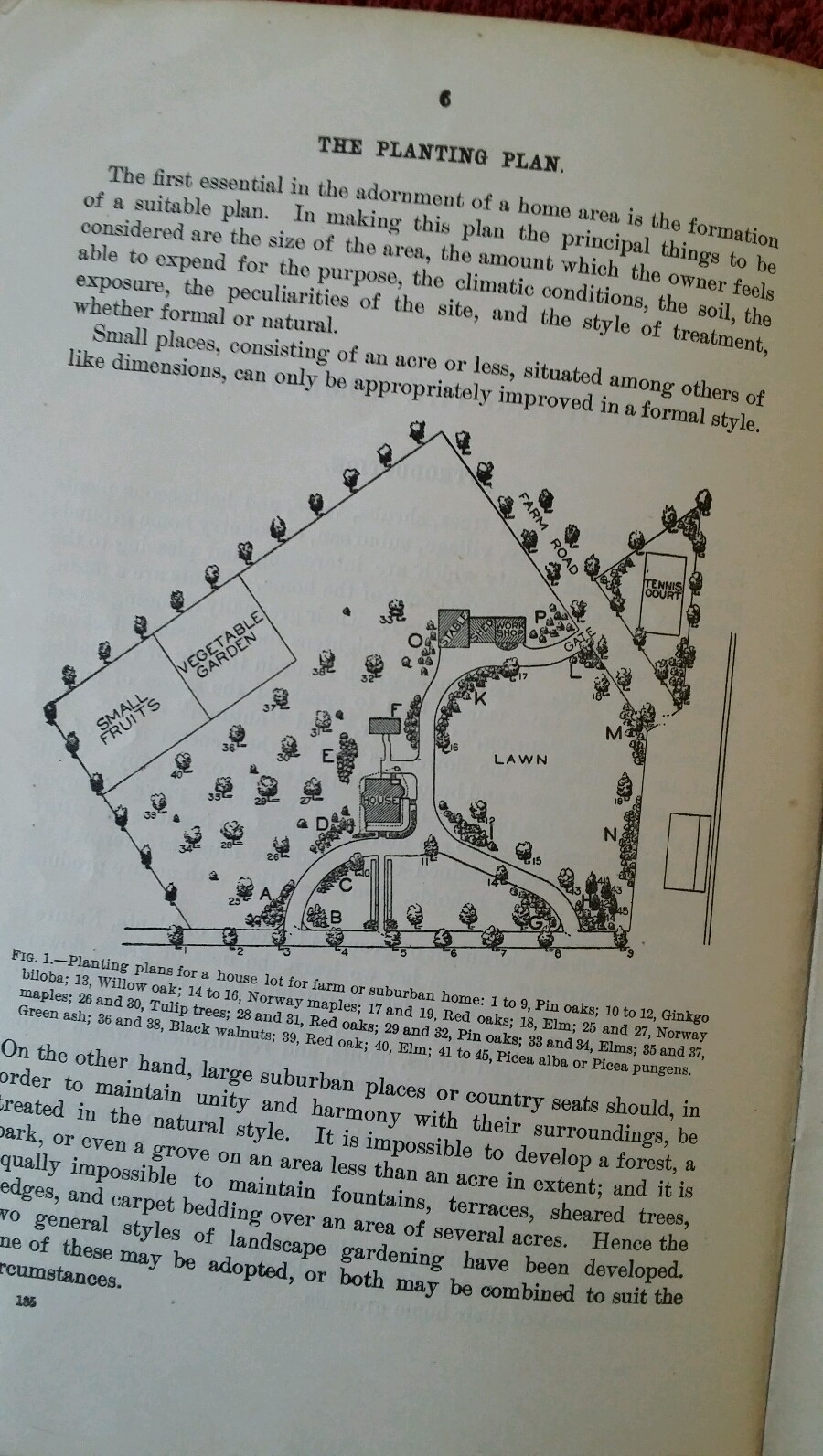U.S. Department of Ag Vintage 1904 Farmers&rsquo; Bulletin #185 Beautify Home Grounds