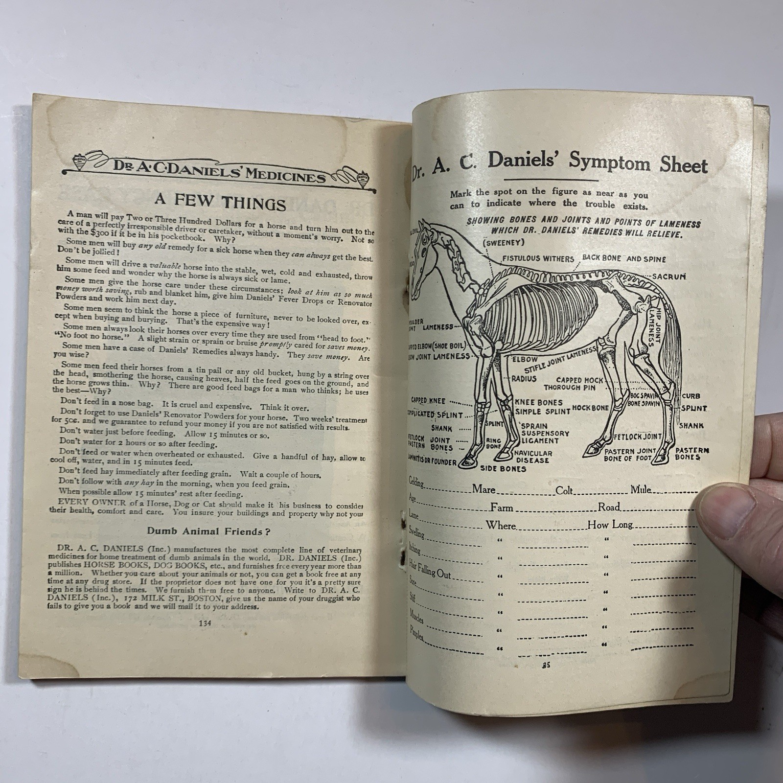 HOME TREATMENT FOR HORSES AND CATTLE by A.C. Daniels – Original 1907 Paperback