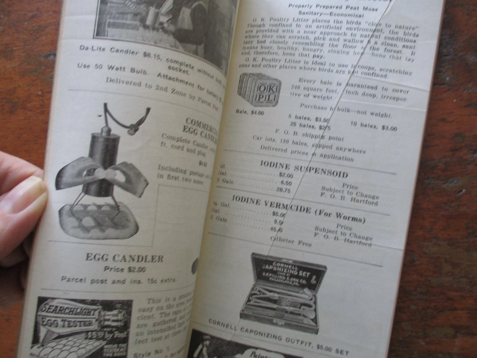 Rare 1929 FYLERS catalog POULTRY FARM SUPPLIES 70 pages illustrated /seeds also