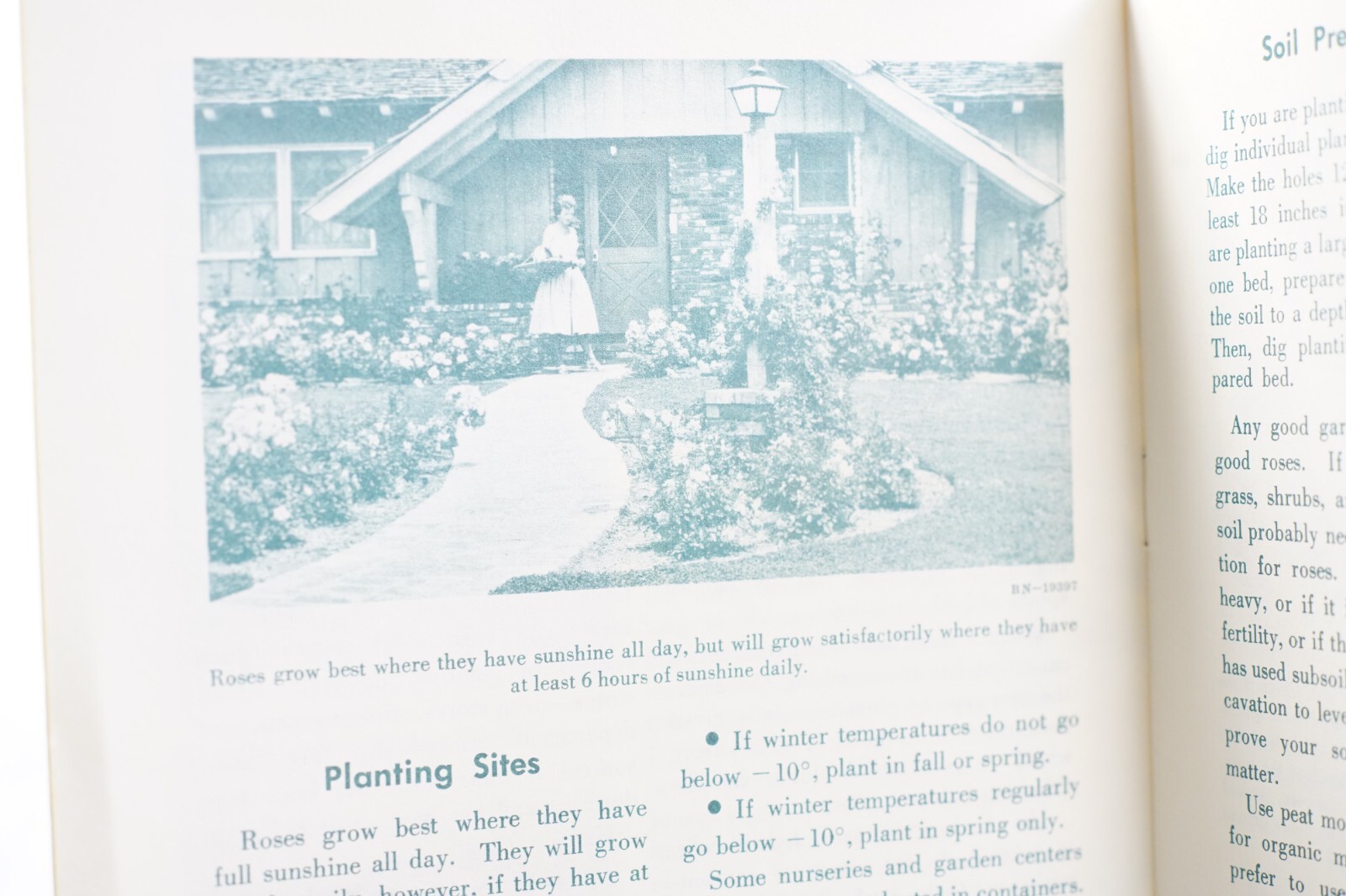 1972 Roses for the Home USDA Home and Garden Original Vintage Bulletin No. 25