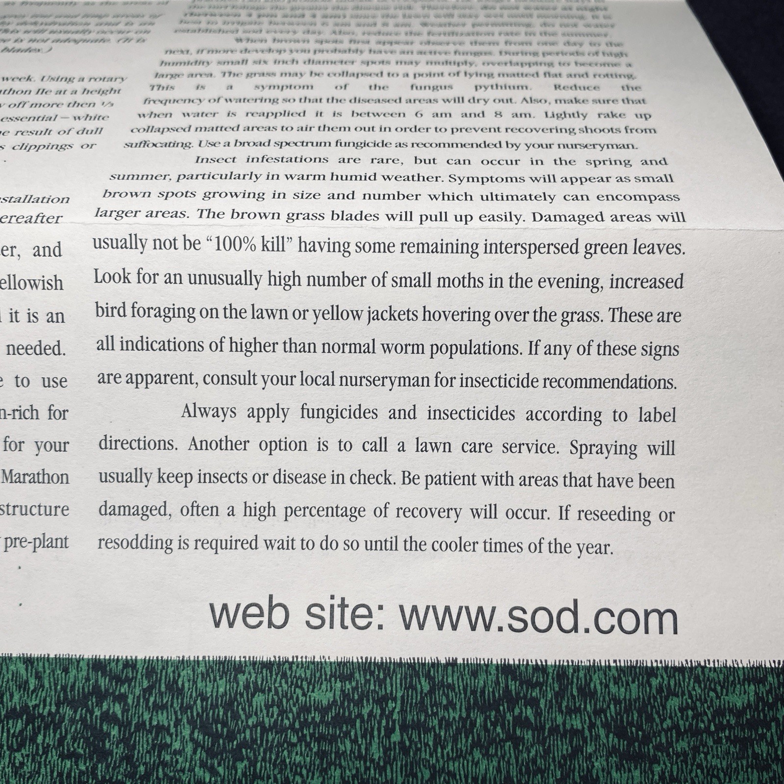 Ad Print Flyer 2011 Grass Yard Lawn Care Sod Farms Ephemera Collectors Paper