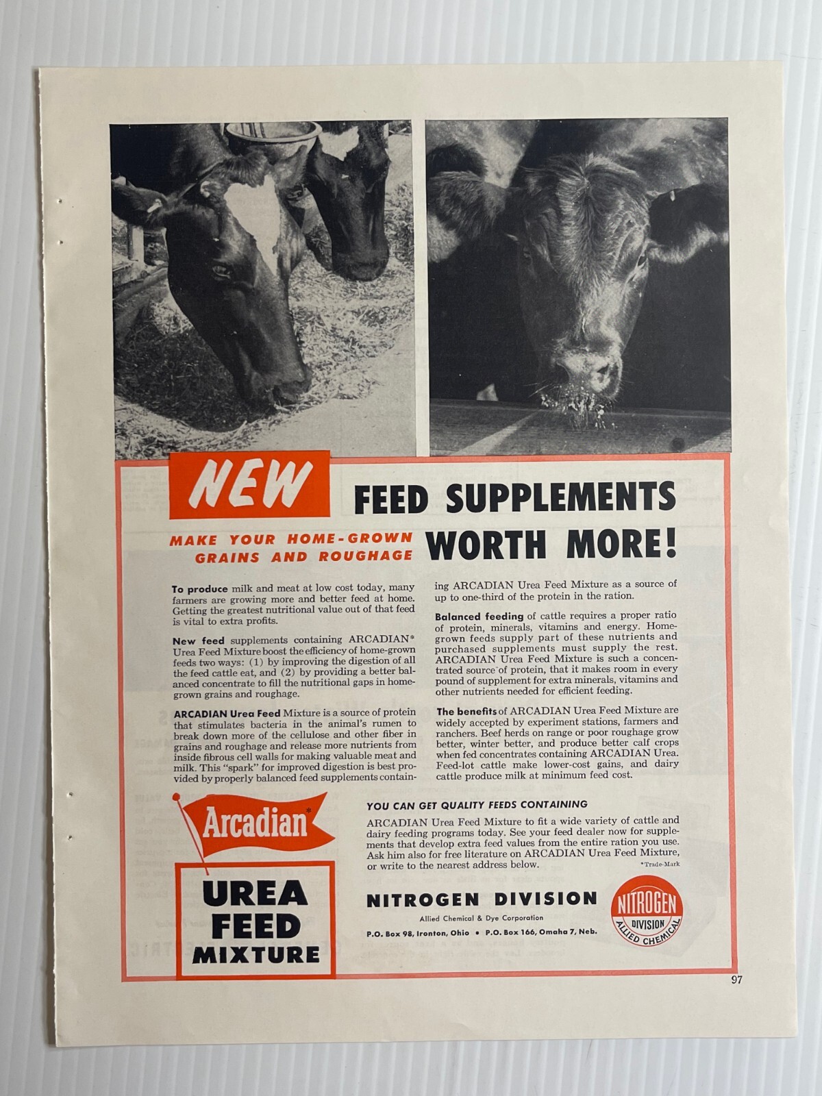1950s Arcadian Urea Feed Mixture – Original Print Advertisement (9.5in x 13in)