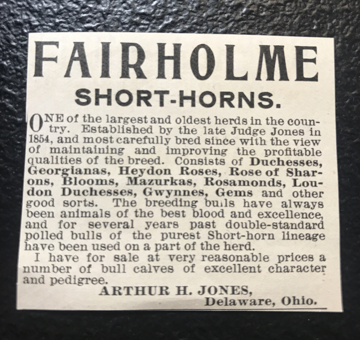 1902 Fairholme Farm Cattle Advertising – Delaware – Ohio – Cow