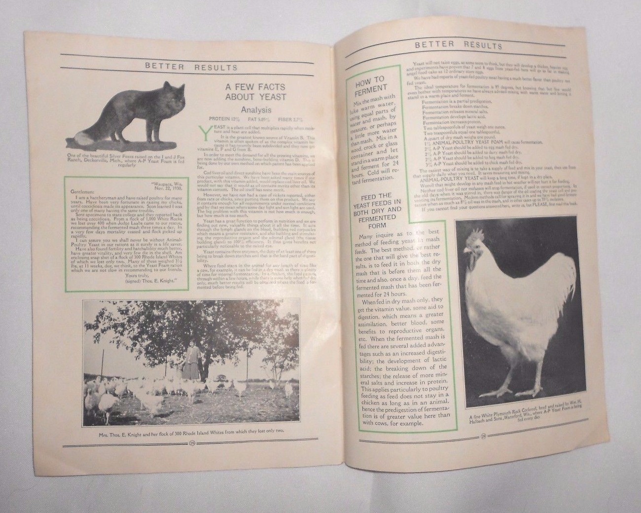 Vtg 1930 Northwestern Yeast Co Chicago Farm Advertising Chickens Pigs Booklet