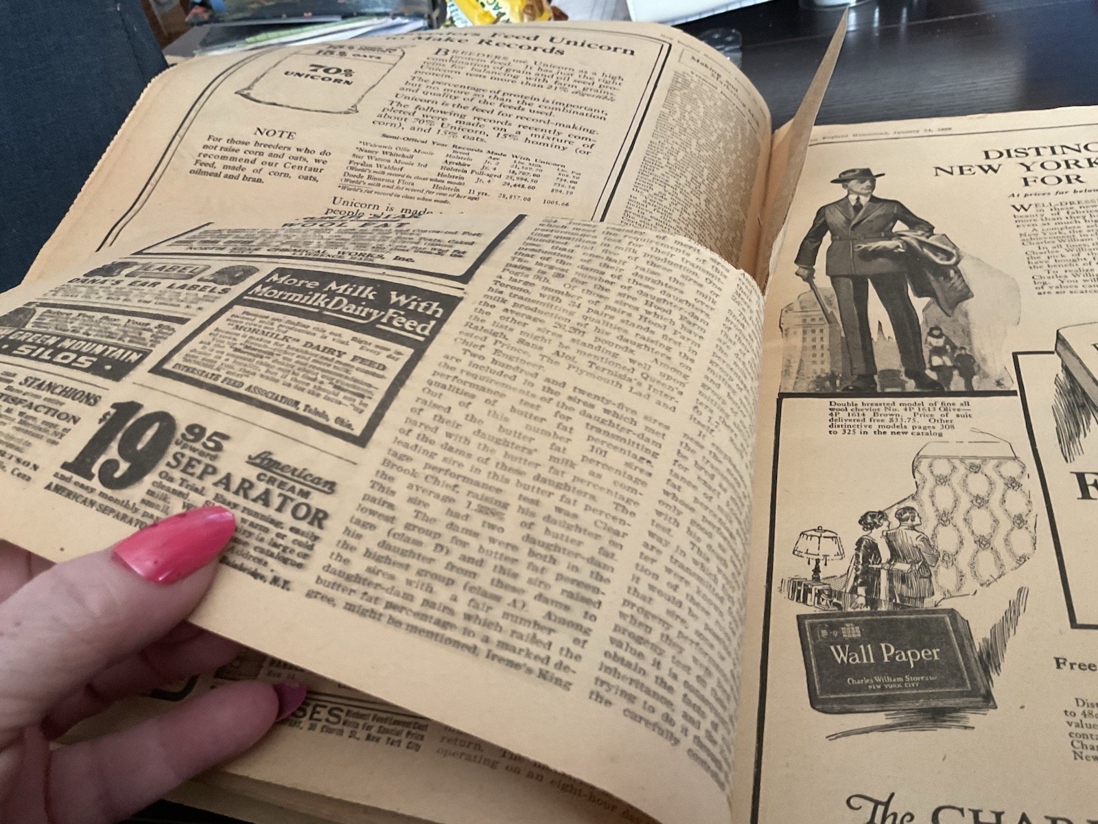1920 New England Homestead Newspaper Breeding Cow Chart Milk Fairies Ads