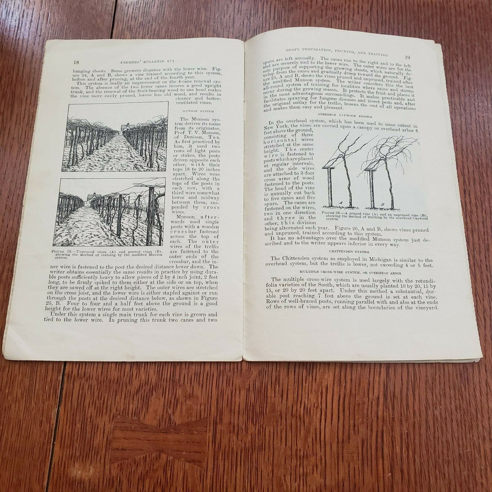 Vintage 2 Pamphlets 1932 U.S. Department of Agriculture 1949 Grape Growing in KS