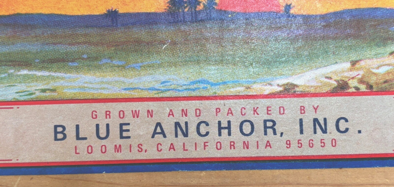 Vintage 1940,s Camel Mountain Fruits Placer County Wood Crate End Piece Plums