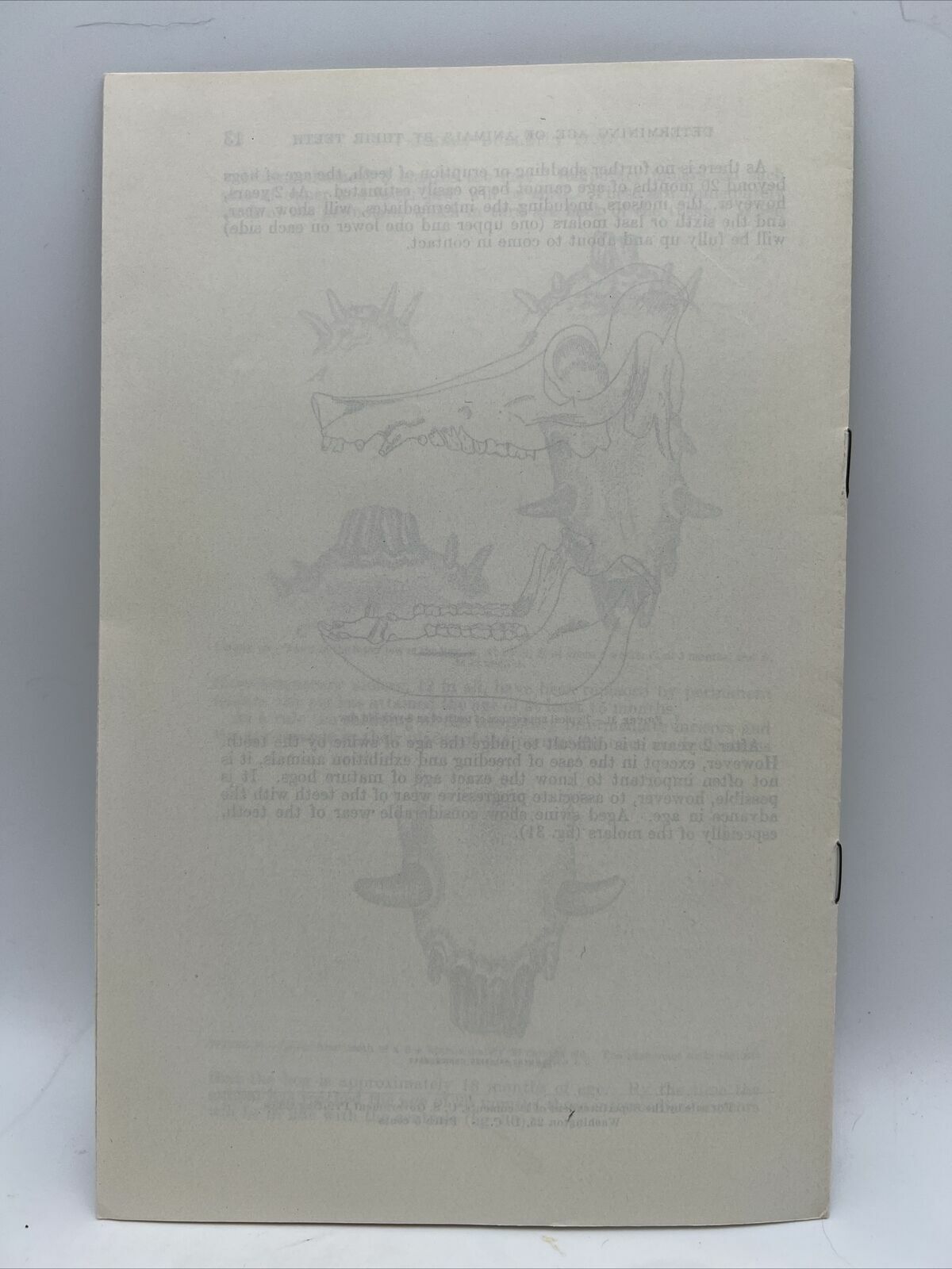 1934 USDA Farmers Bulletin No 1721 DETERMINING THE AGE OF FARM ANIMALS BY TEETH
