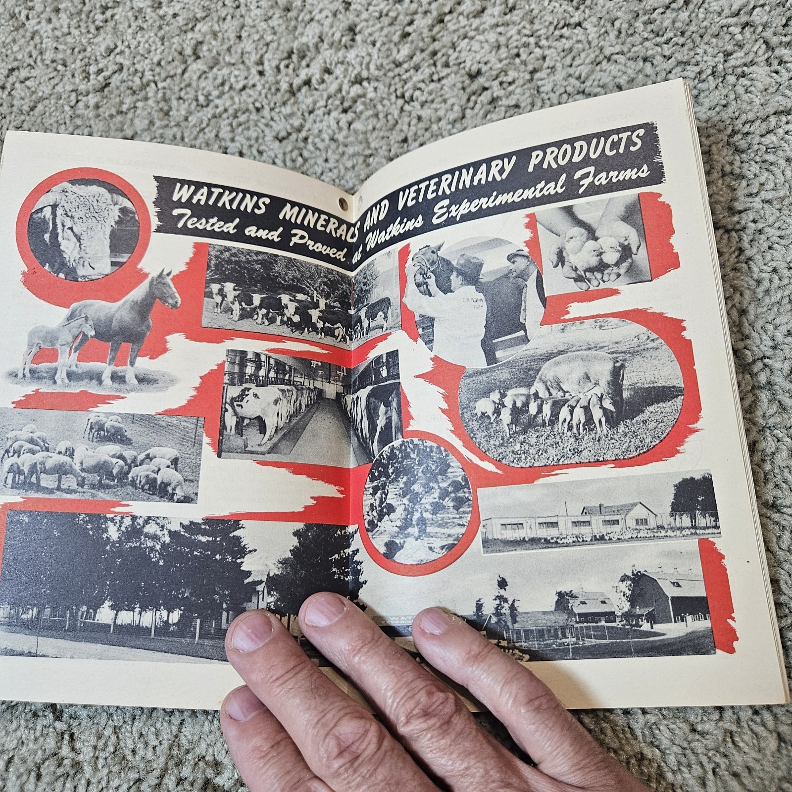 Vintage 1944 Watkins Farm Hints and Rules Booklet