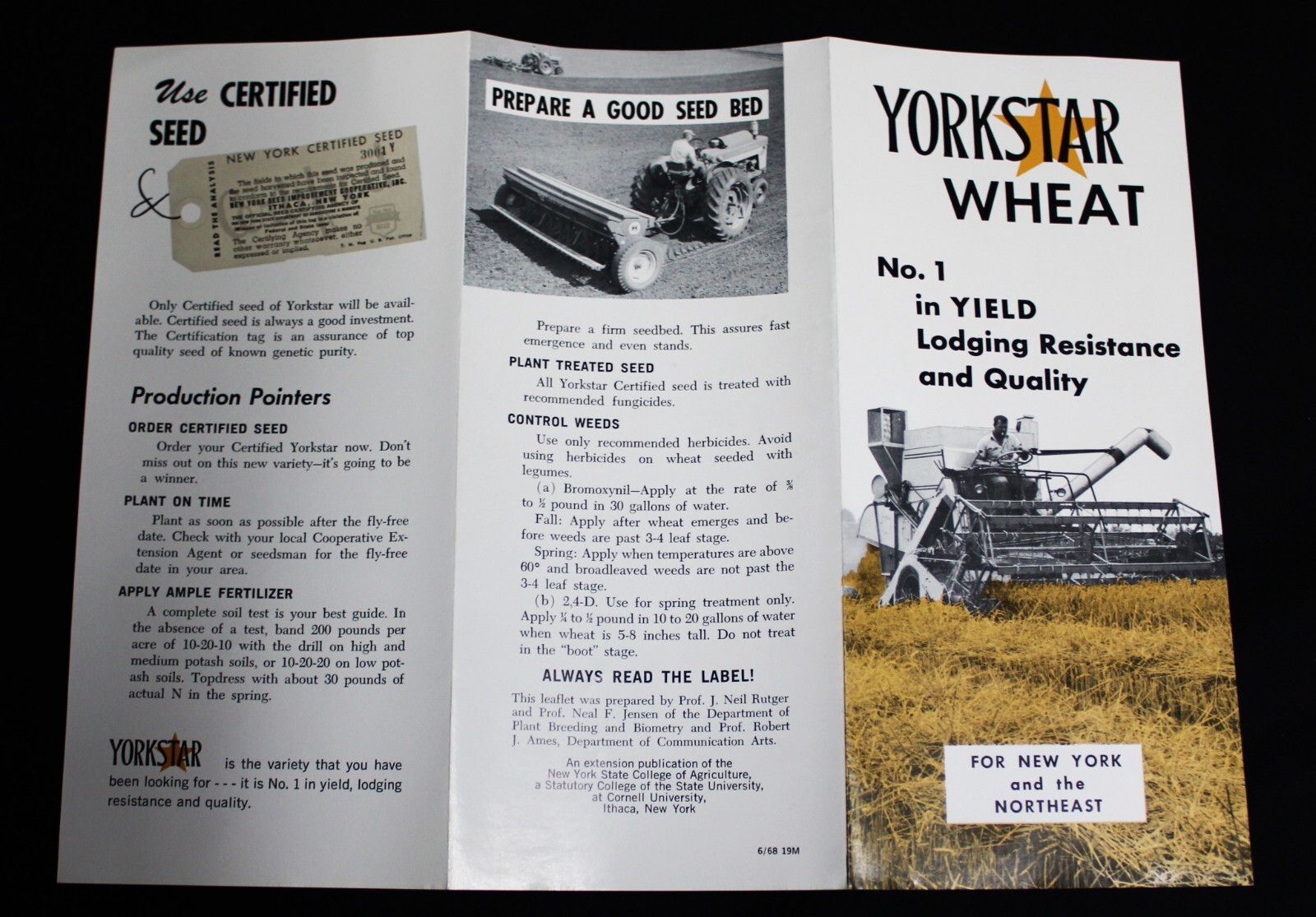 YORKSTAR WHEAT FARMING AGRICULTURE ADVERTISING SALES BROCHURE 1968 VINTAGE