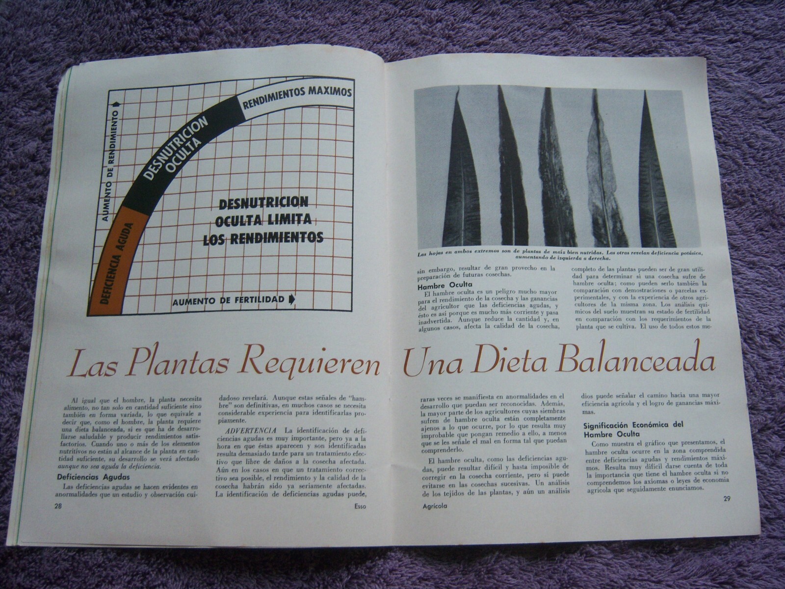 ESSO AGRICOLA SPANISH LANGUAGE BOOKLETS Farming Agriculture
