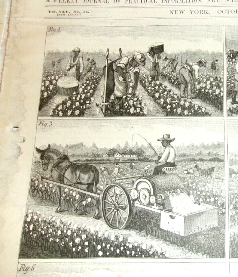 1881 AFRICAN AMERICAN WORKERS COTTON AGRICULTURE INVENTIONS ETC