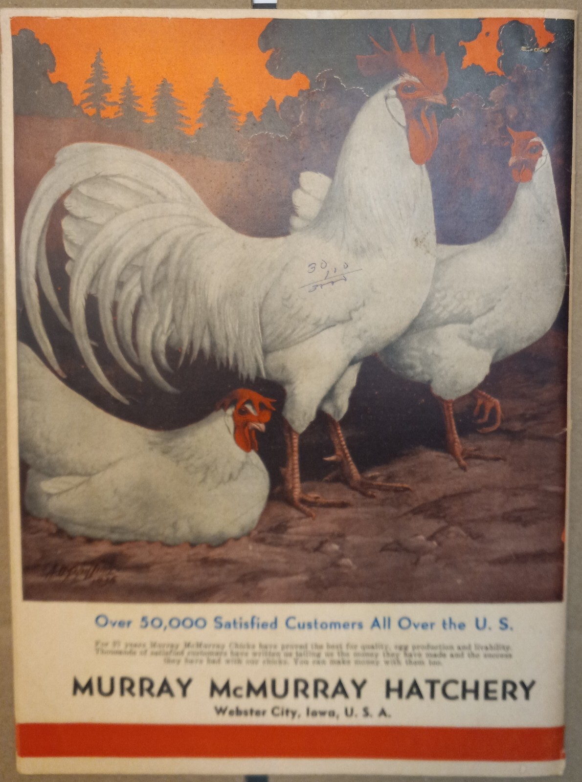 Vtg 1944 Murray McMurray Hatchery Webster City Ia Catalog Order Form Price List