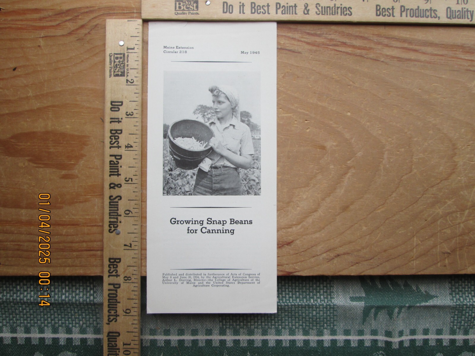 Growing snap beans for canning maine extension brochure 1945