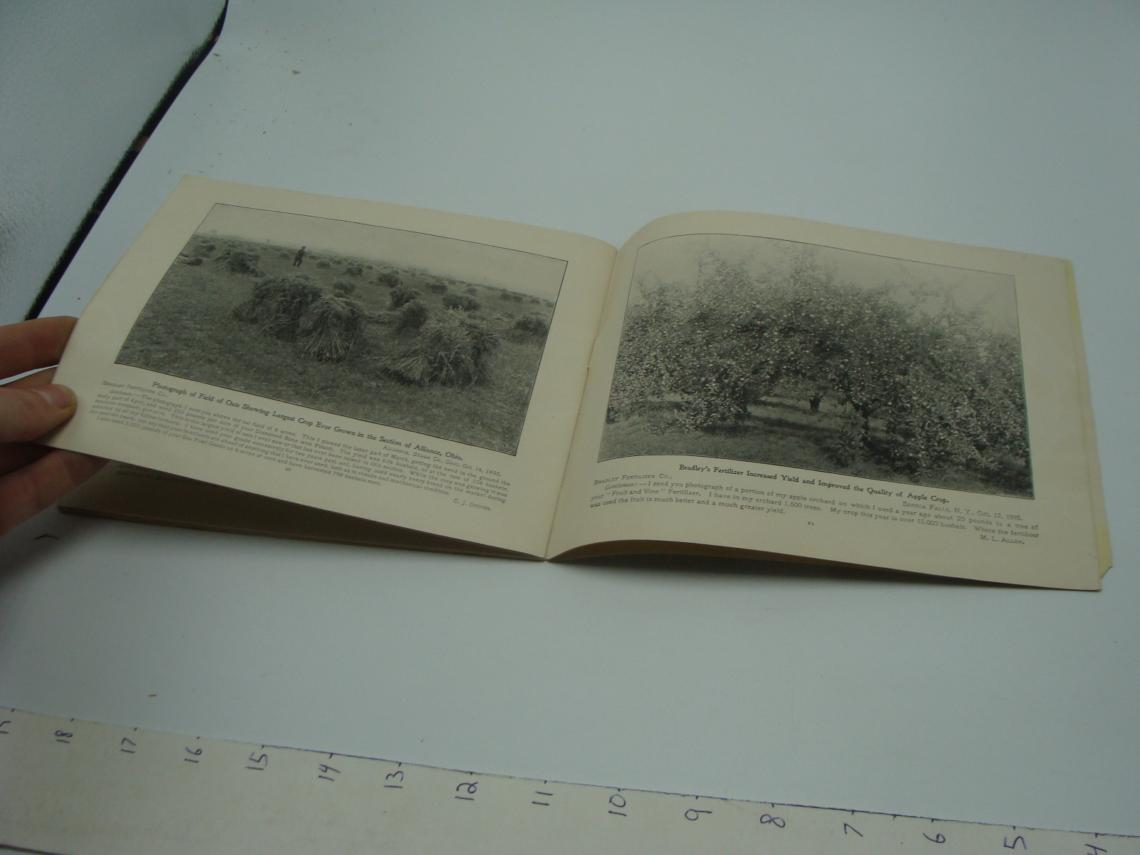 original 1896 BRADLEY&rsquo;S AMERICAN FARMER – 34pgs