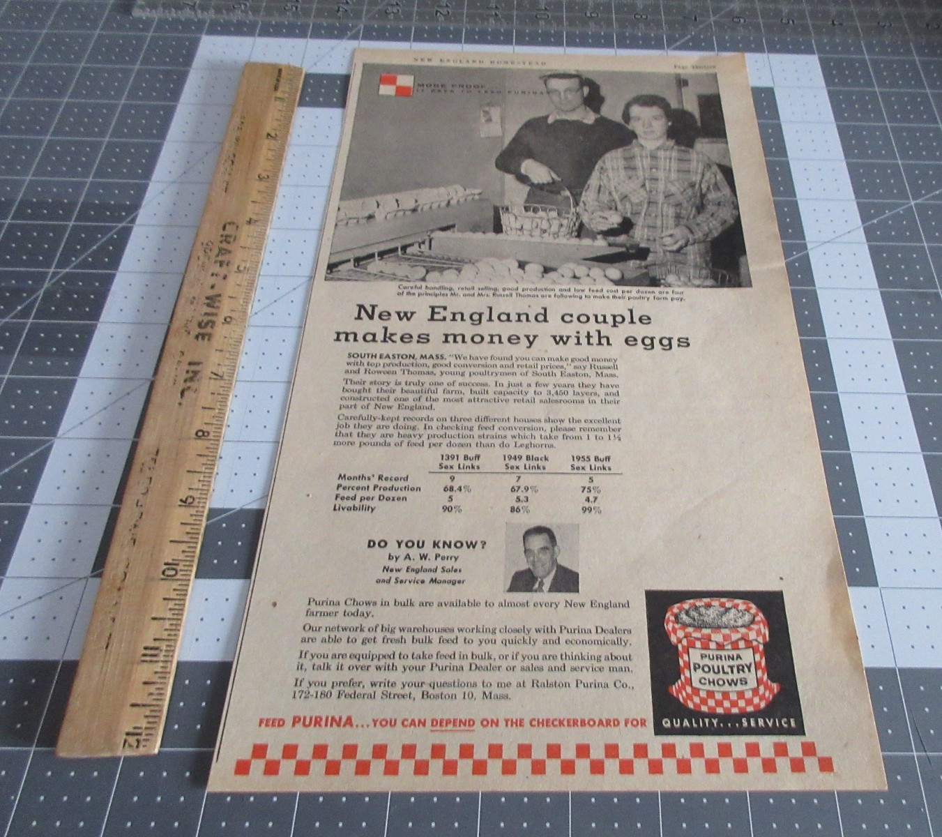 1958 Couple makes money w/Eggs Purina Poultry Chows Vintage Print Ad 🐔🥚