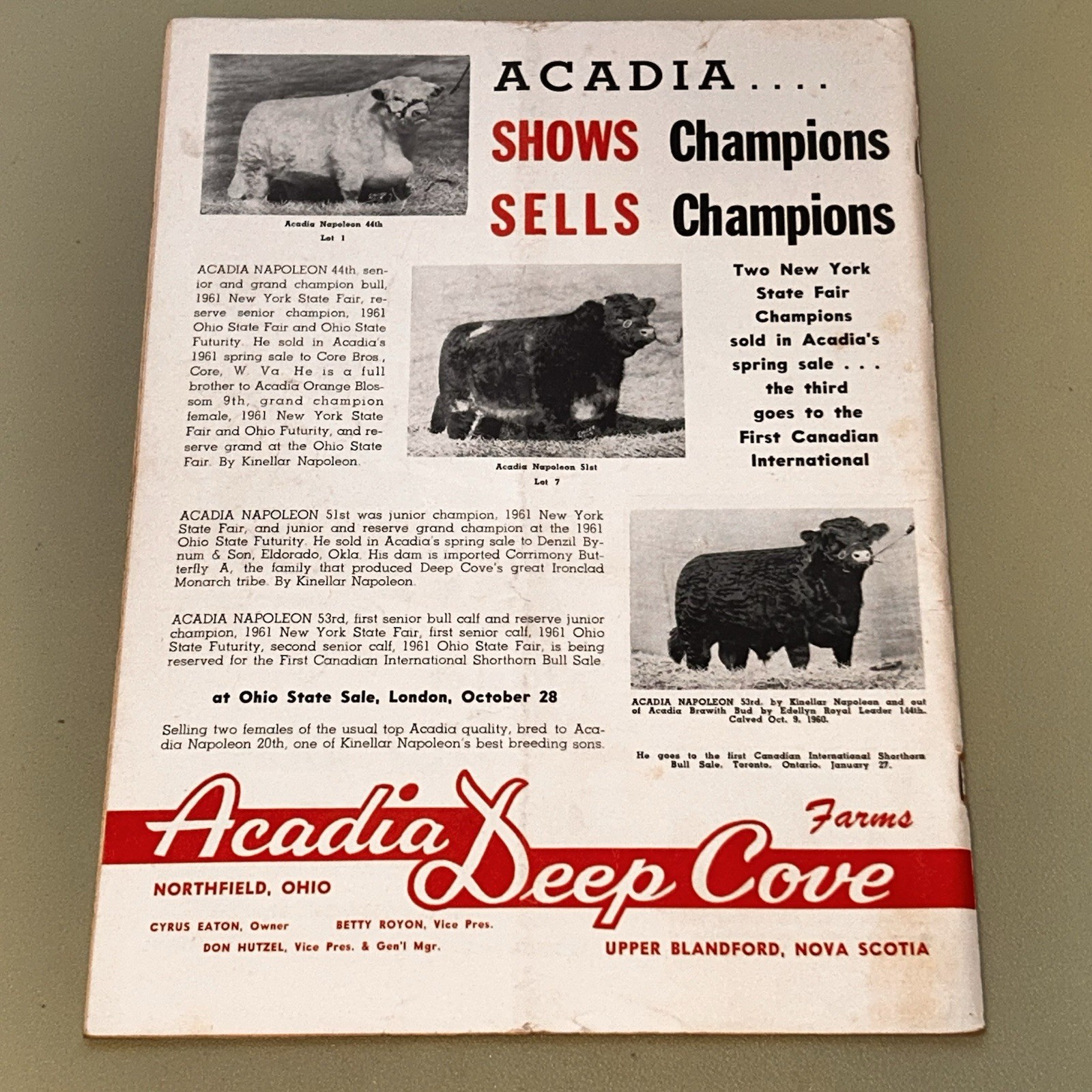 October 15, 1961 Shorthorn World Magazine