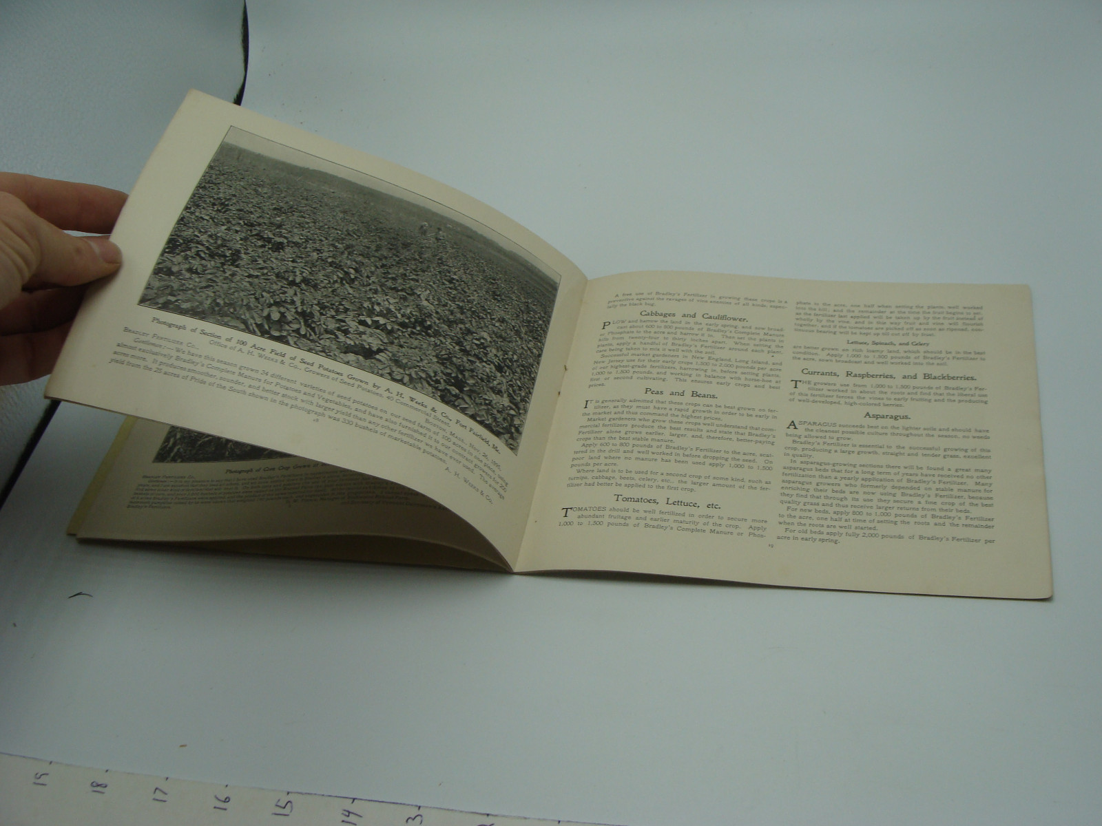 original 1896 BRADLEY&rsquo;S AMERICAN FARMER – 34pgs