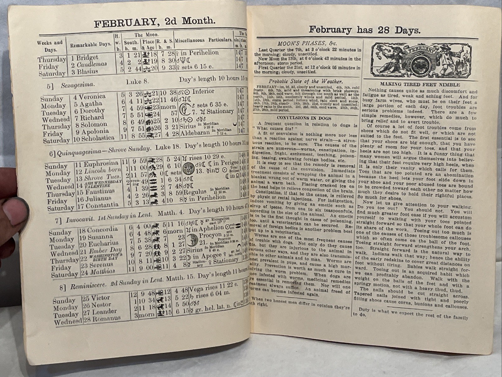 1934 Agricultural Almanac Farm Guide Vintage Farming Book