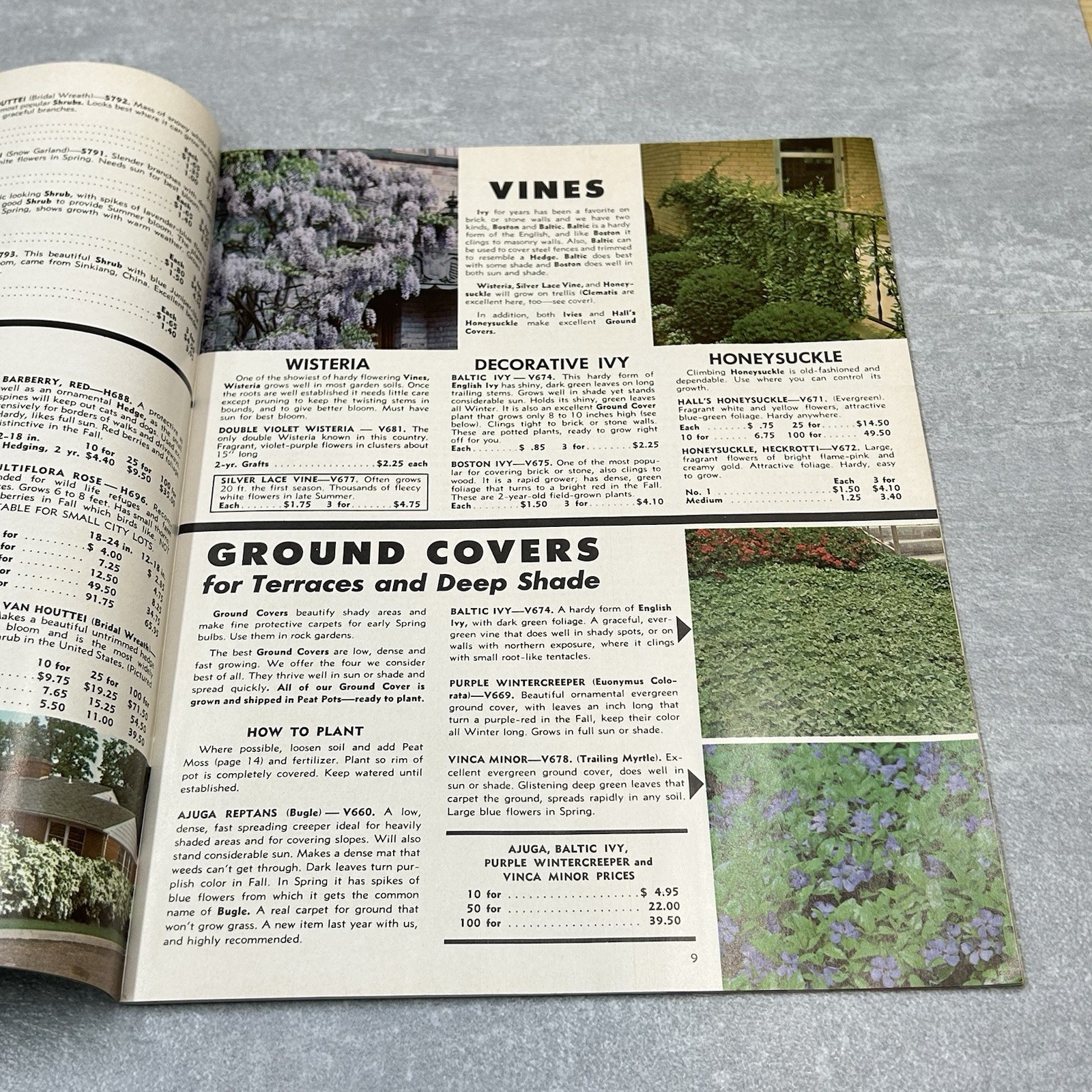 Vintage 1967 Neosho Nurseries Catalog Flowers Plants Fruit Tress Missouri