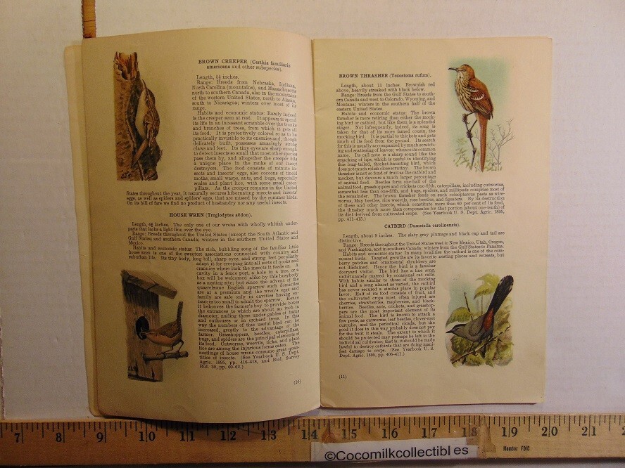 Vintage 1913 U.S Department of Agriculture Fifty Common Birds of Farm & Orchard