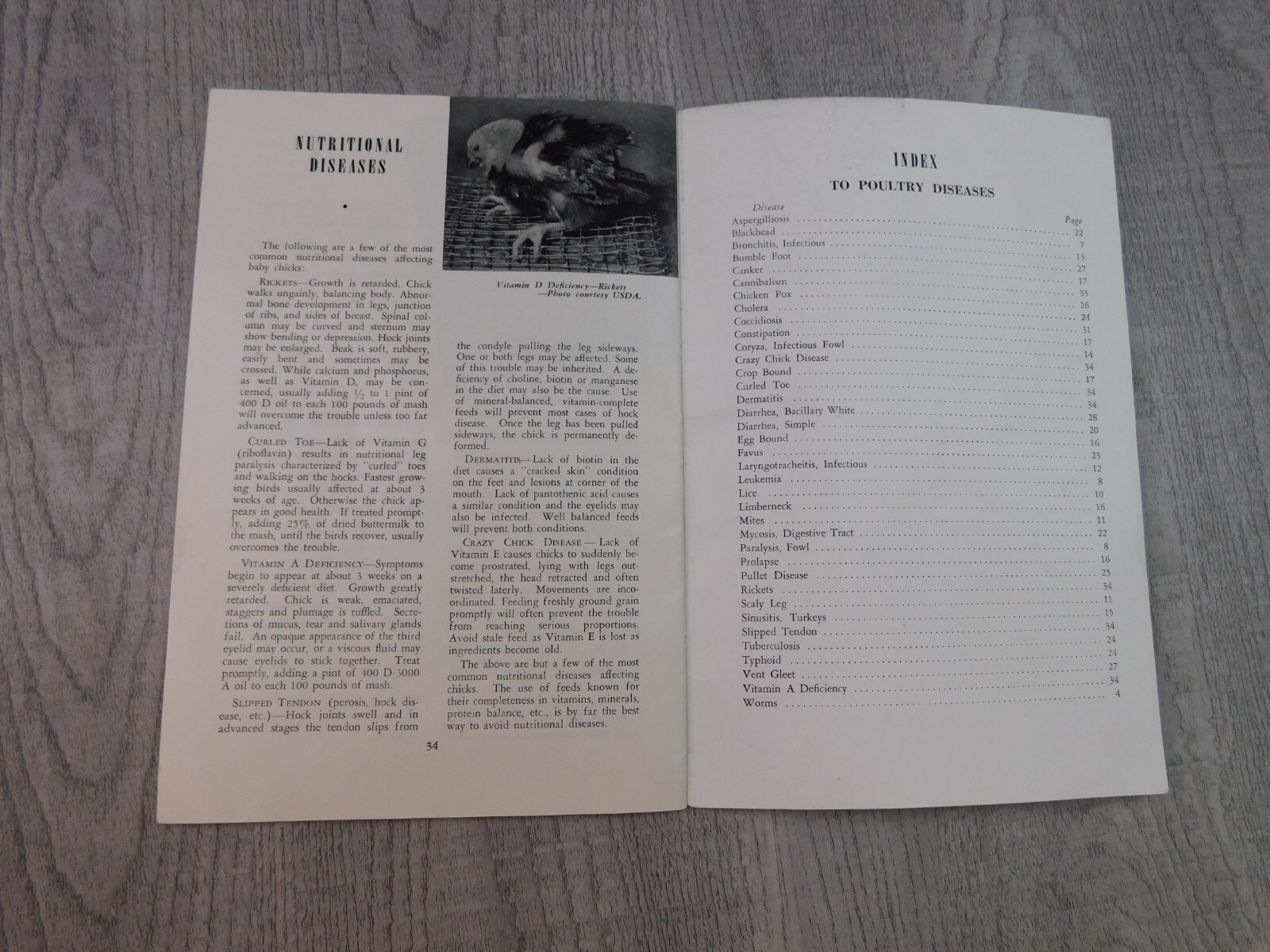The Poultry Health Guide Vintage Pamphlet Raising Chickens Houses Hoppers Range