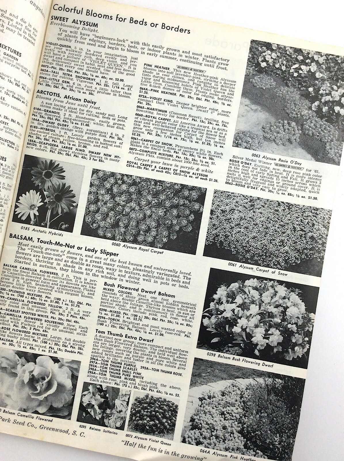 Parks Flower Book 1962 Greenwood South Carolina Garden Seed Catalog Q364