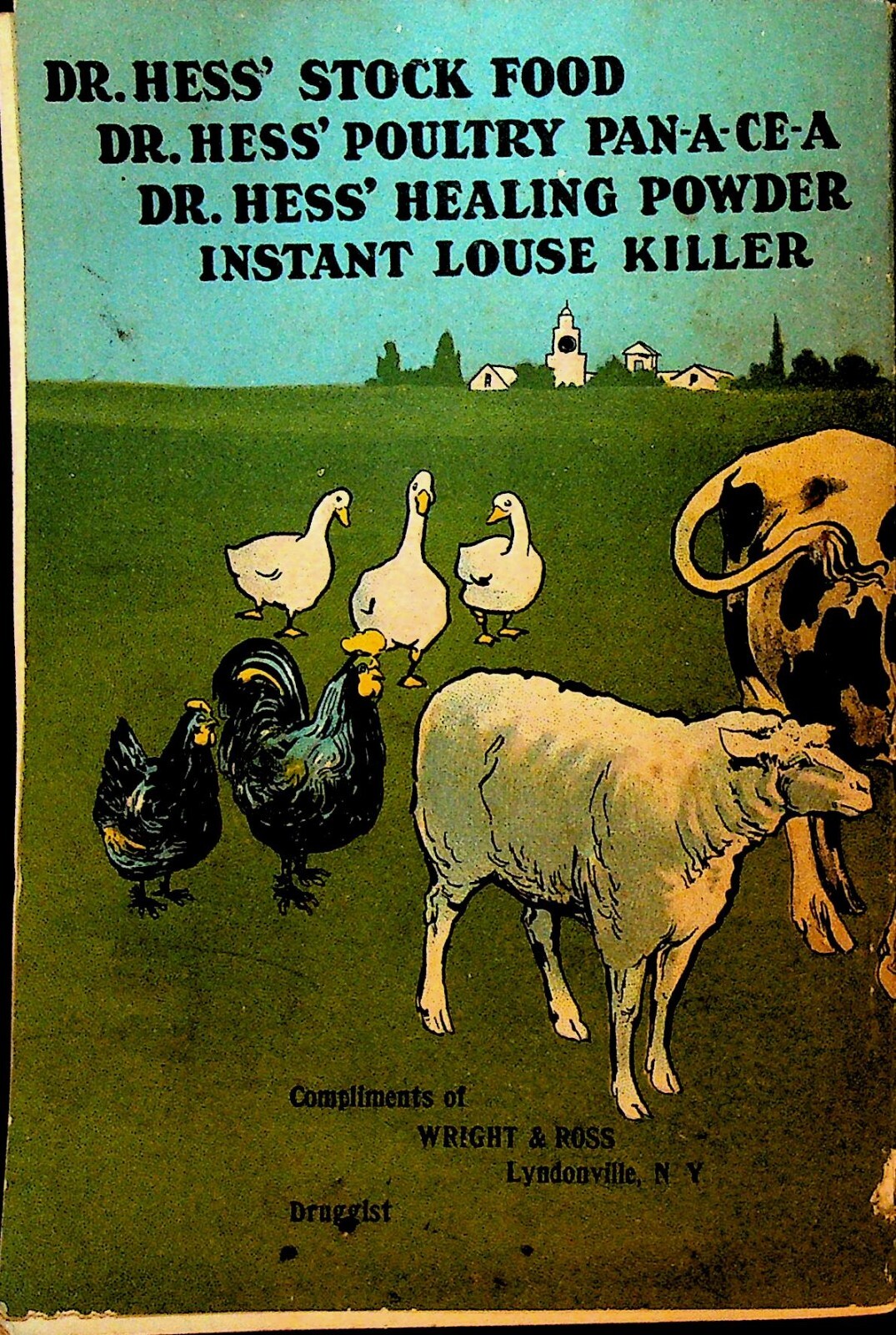 Dr Hess Stock Book Scientific Treatise on Horses Cattle Sheep Hogs Poultry 1901