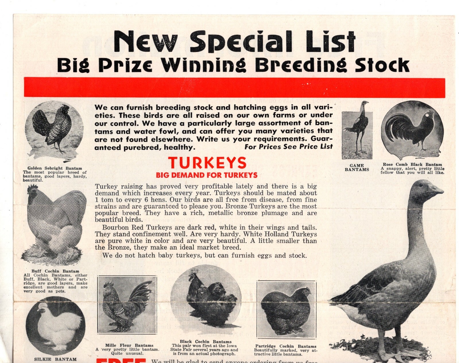 McMURRAY HATCHERY Ducks BANTAM Turkey 1940&rsquo;s Catalog Brochure Webster City IA