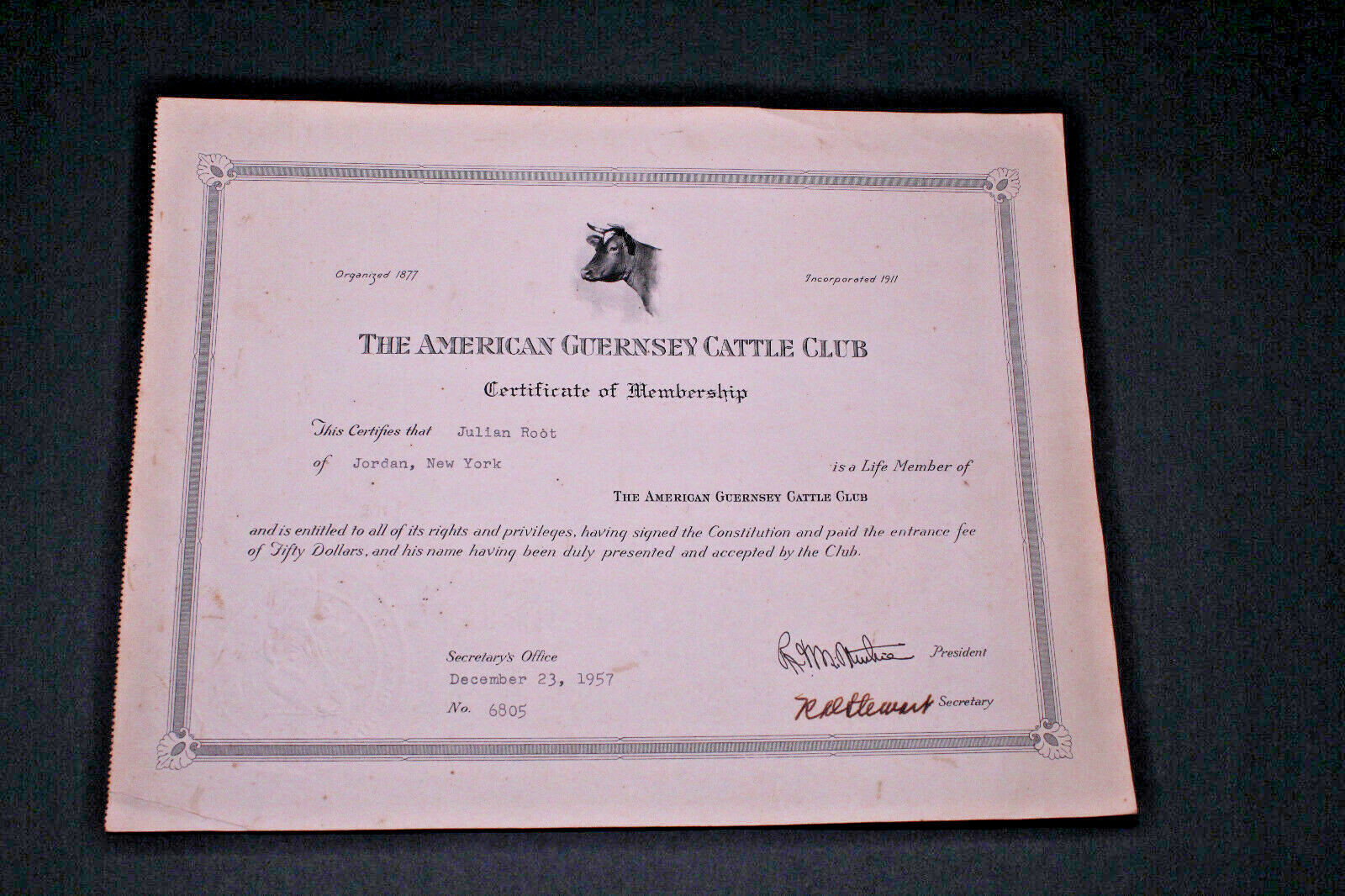 1957 American Guernsey Cattle Club Membership Julian Root Jordan,N.Y. Vintage