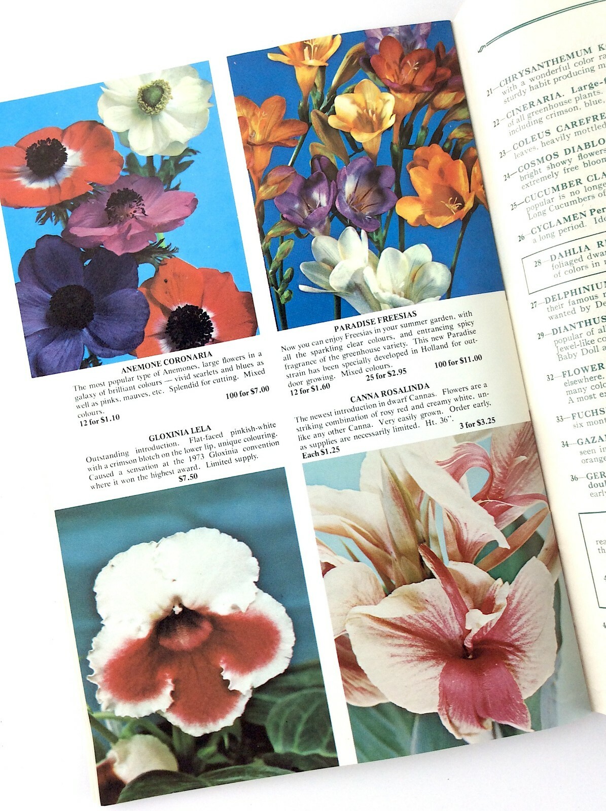 Spring 1975 CA Cruickshank Garden Guild Plant Guide Catalog Booklet L329