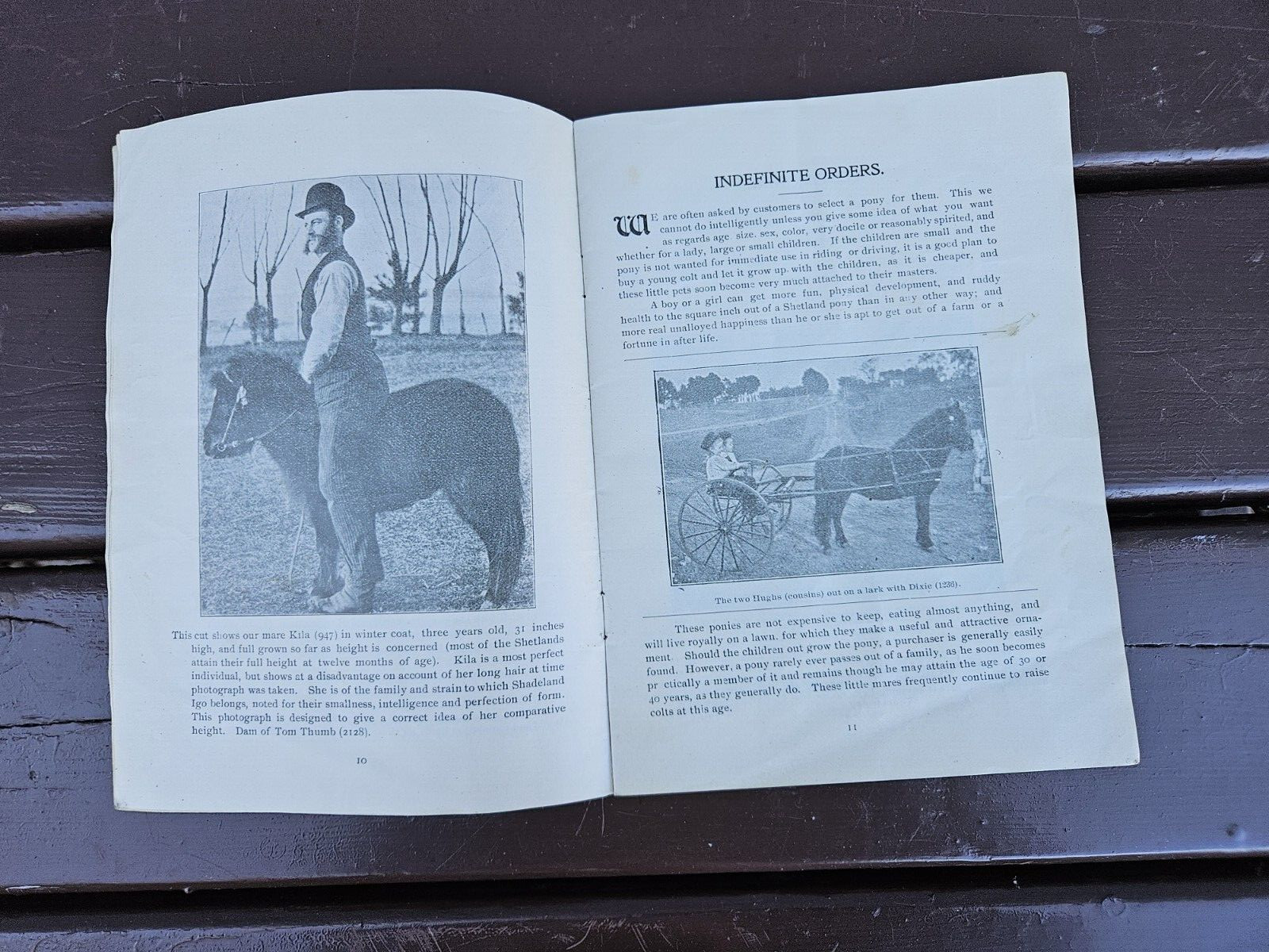 Sunny Side Shetland Pony Farm Catalog & Brochures Monmouth ILL. 1902 +