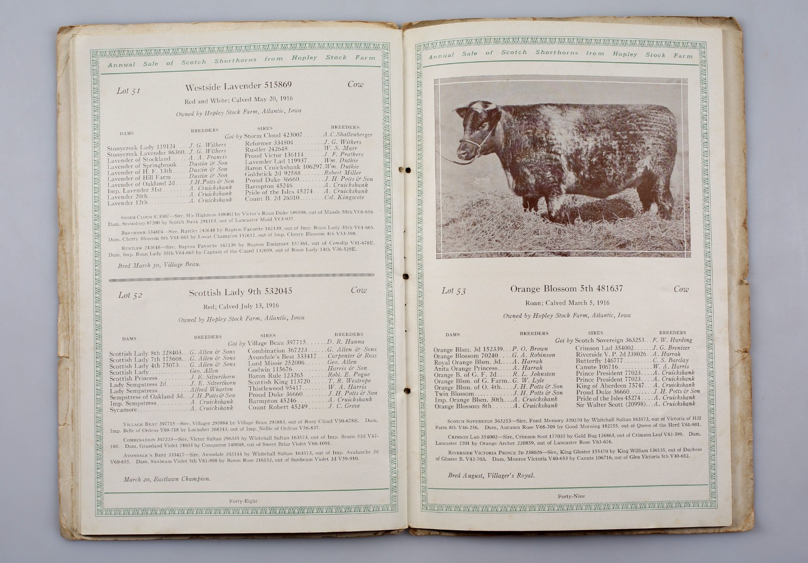 1918 Scotch Shorthorns Livestock Sale Catalog Hopley Stock Farm Atlantic Iowa