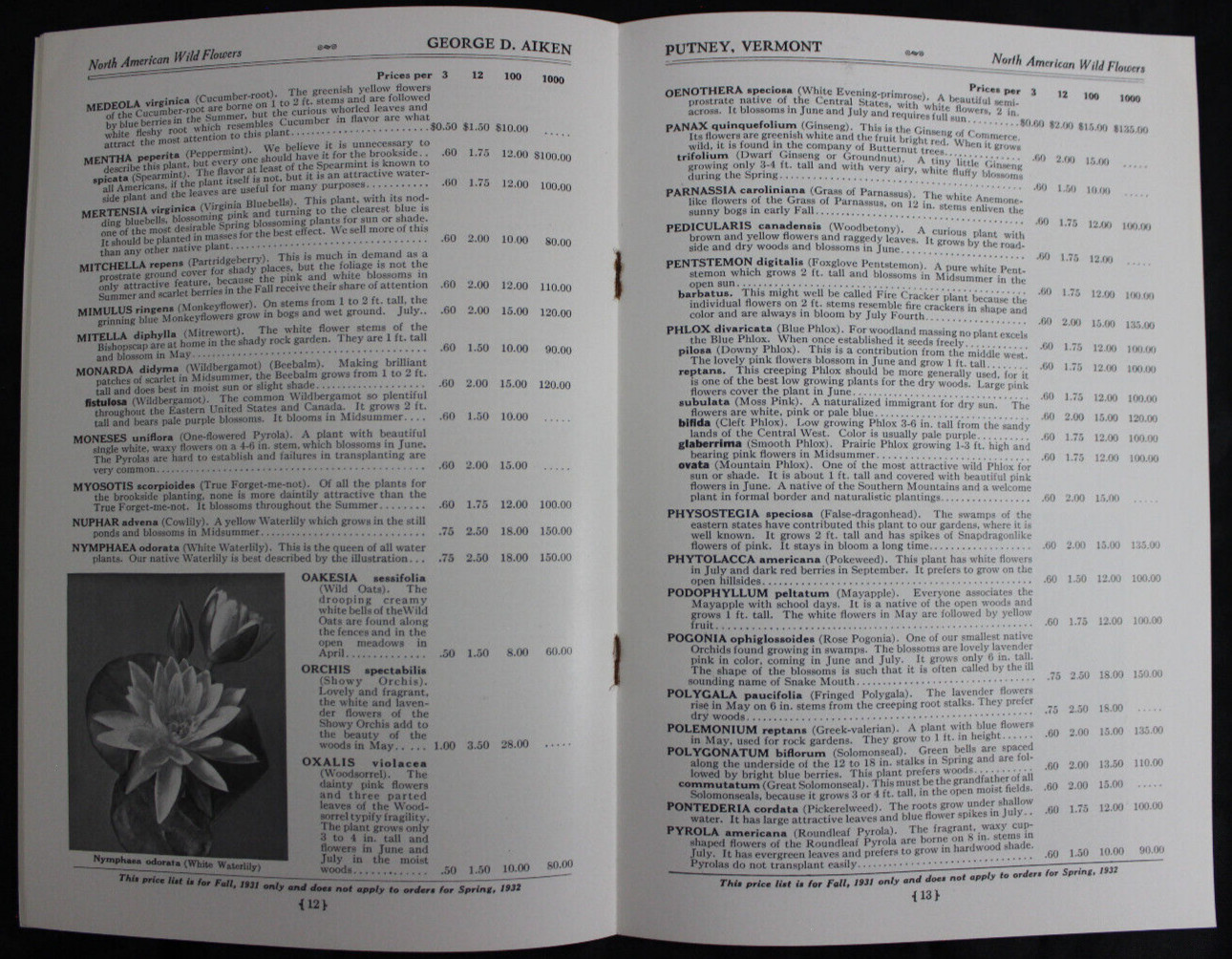 1931 NATIVE NORTH AMERICAN FERNS & WILD FLOWERS CATALOG, GEORGE AIKEN, PUTNEY VT