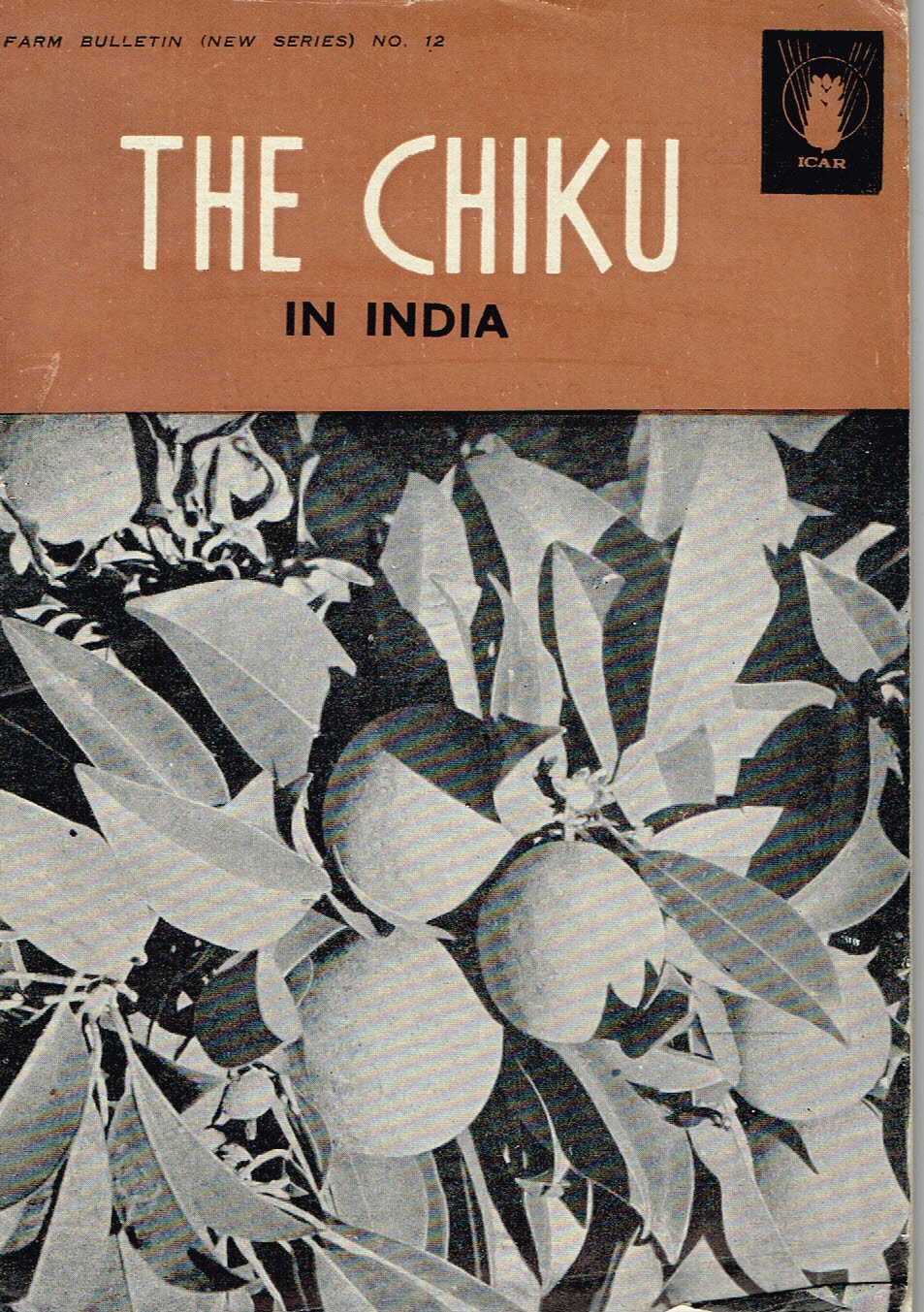 Vintage 1960s Farm Brochure India New Delhi The Chiku in India