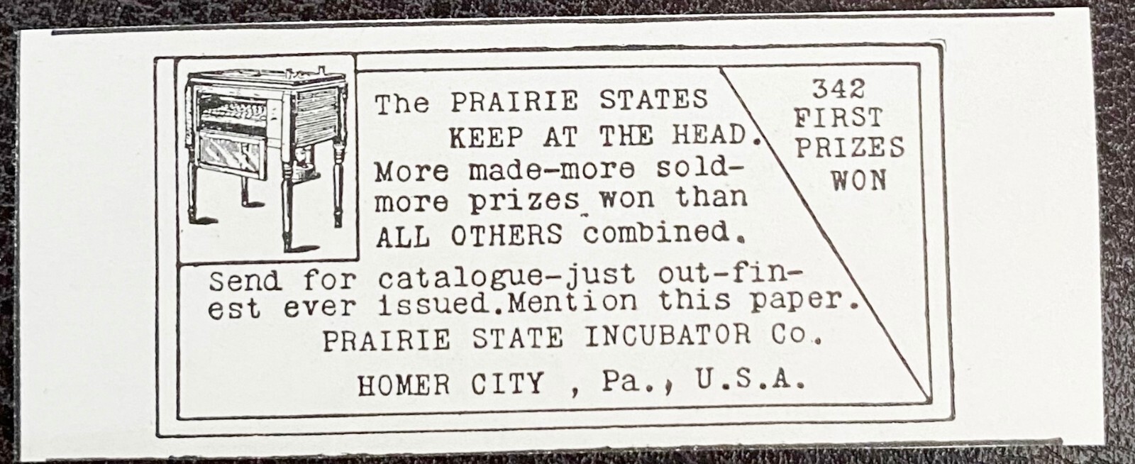 c1890s PRAIRIE STATE INCUBATOR CO. Homer City, Pa. Print Ad~Chicken Raising Farm