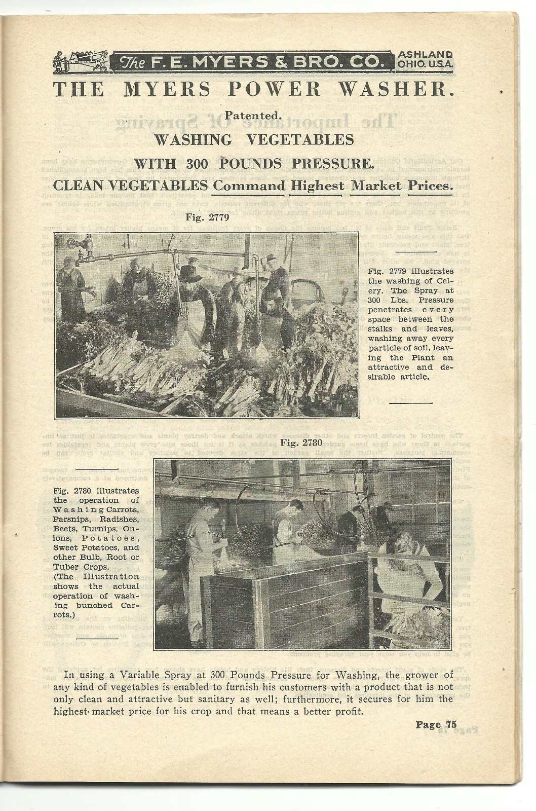 1934 Catalog FE Myers Hand & Power Spray Pumps Ashland OH Farm Power Washer