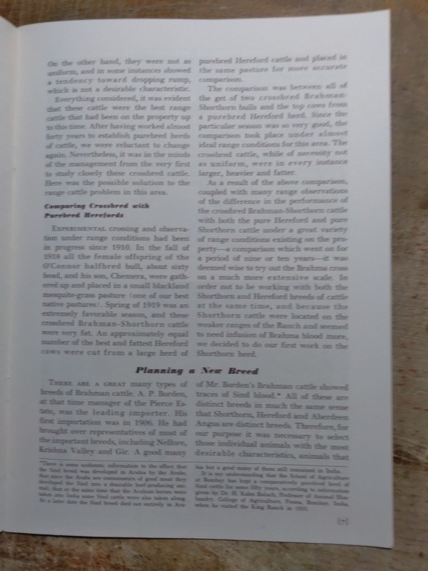 Brochure for Santa Gertrudis Beef Cattle Breed at the King Ranch Kingsville TX