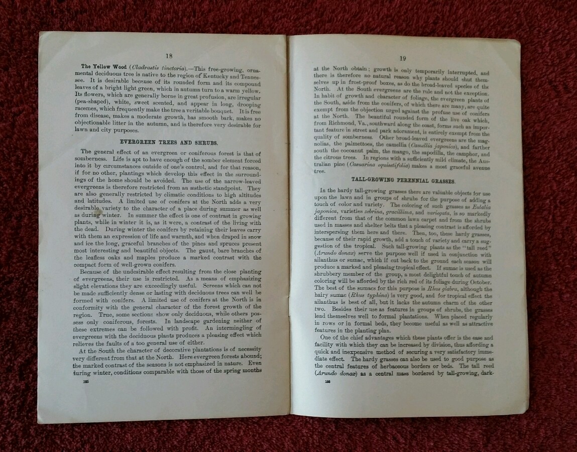 U.S. Department of Ag Vintage 1904 Farmers&rsquo; Bulletin #185 Beautify Home Grounds