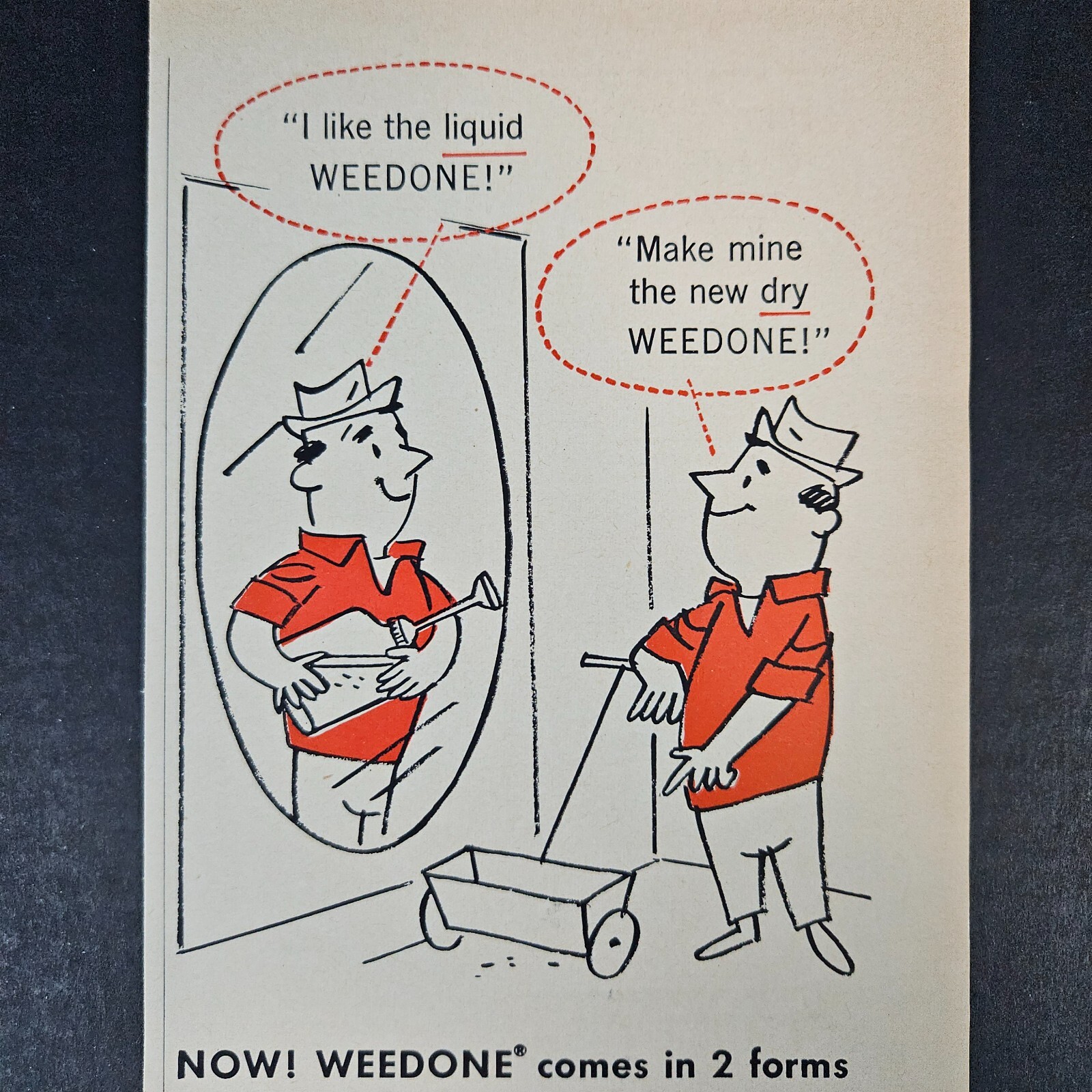 1957 American Chemical Paint Company Weedone Vintage Print Ad D&T Weed Killers