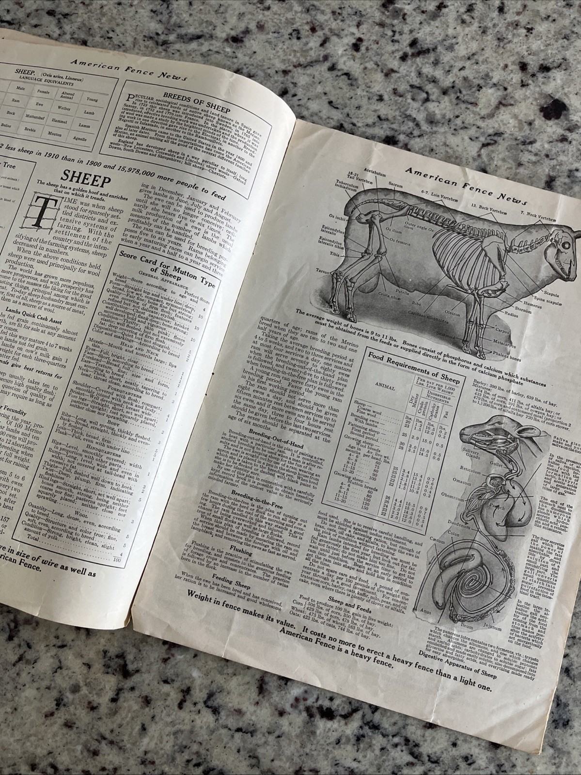 Antique 1915 American Farm Fence Cattle Trade Magazine Comet Shorthorn Bull
