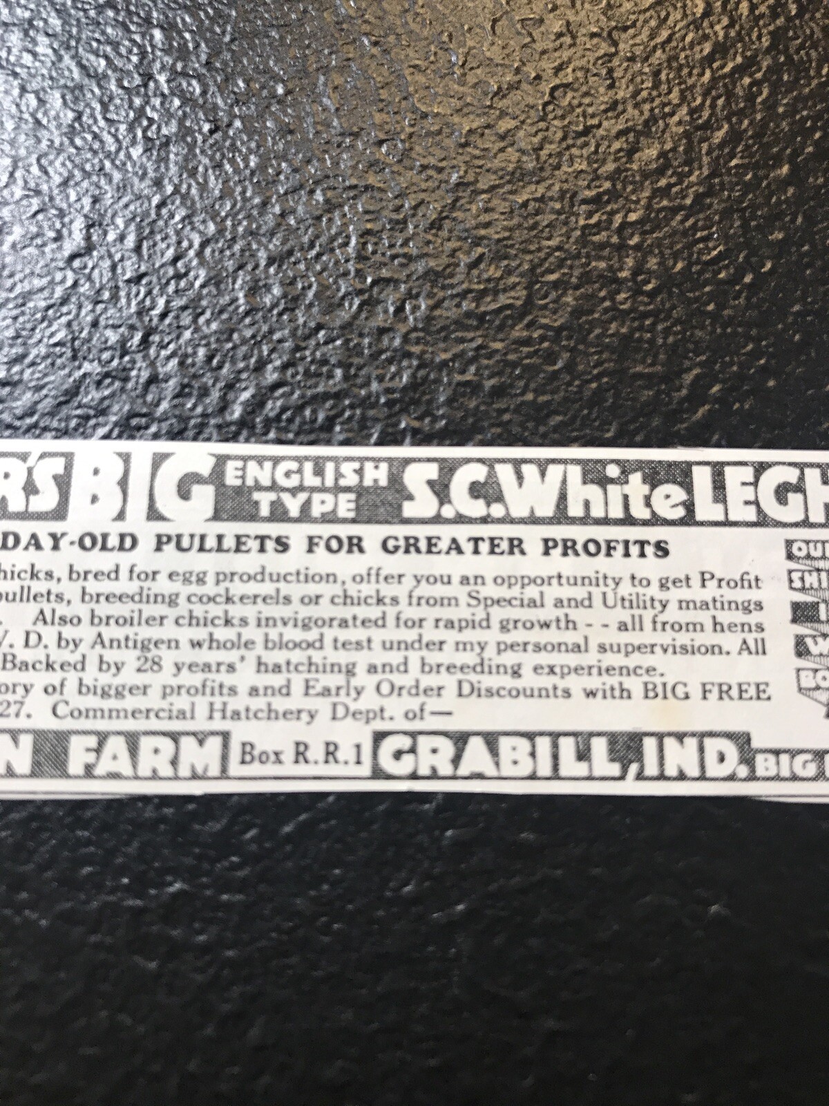 1935 Saunder’s Leghorn – Chicken Farm Advertising – Grabill – Indiana Fort Wayne