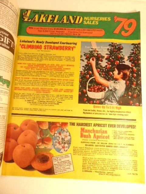 Vintage 1979 Nursery Sales catalog; Lakeland Nursery Sales, Hanover, PA