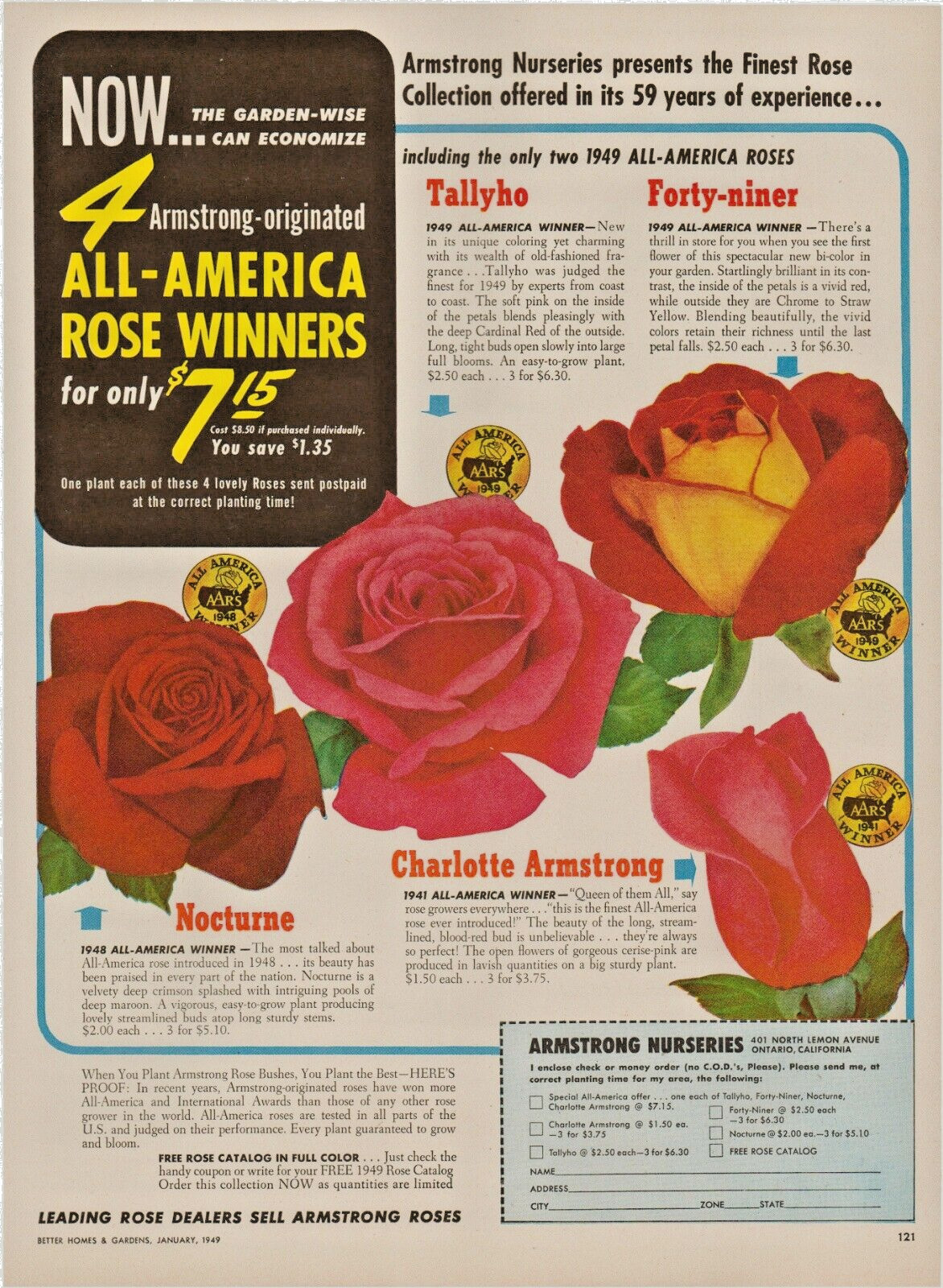 1949 Armstrong Nurseries Roses Tallyho Forty-niner Nocturne Vintage Print Ad