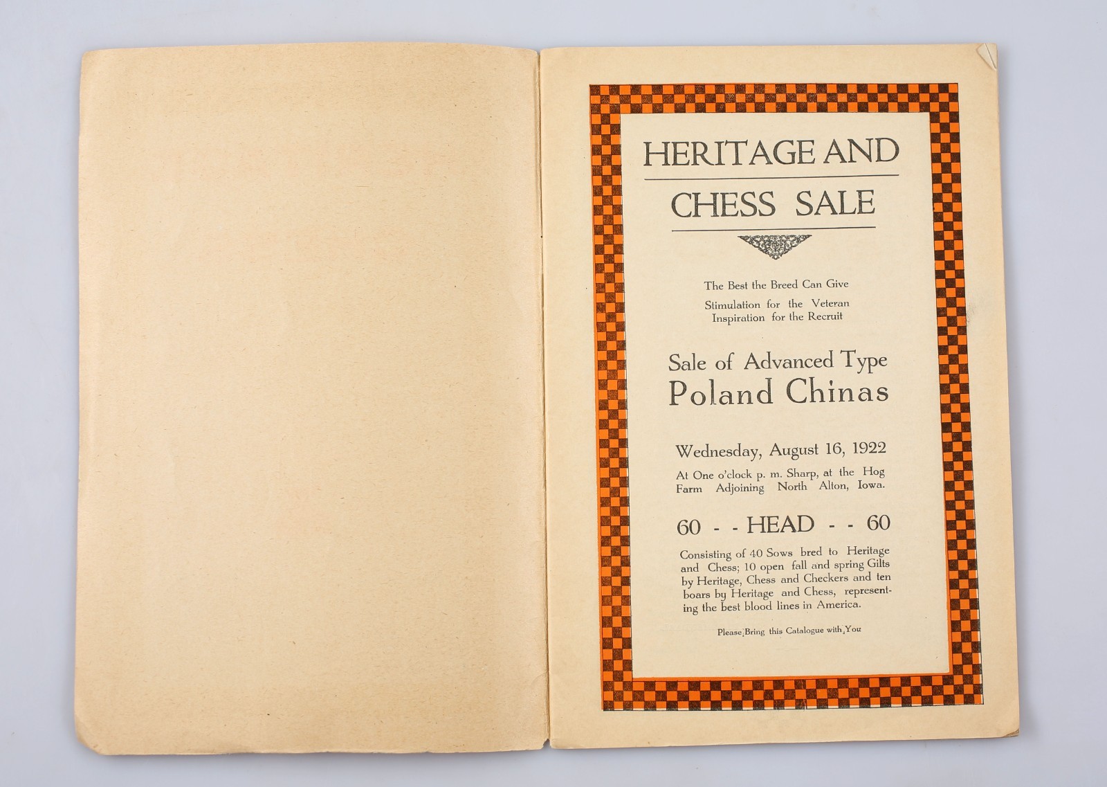 Vintage 1922 Heritage and Chess Poland China&rsquo;s Sow Hog Sale Program Alton Iowa