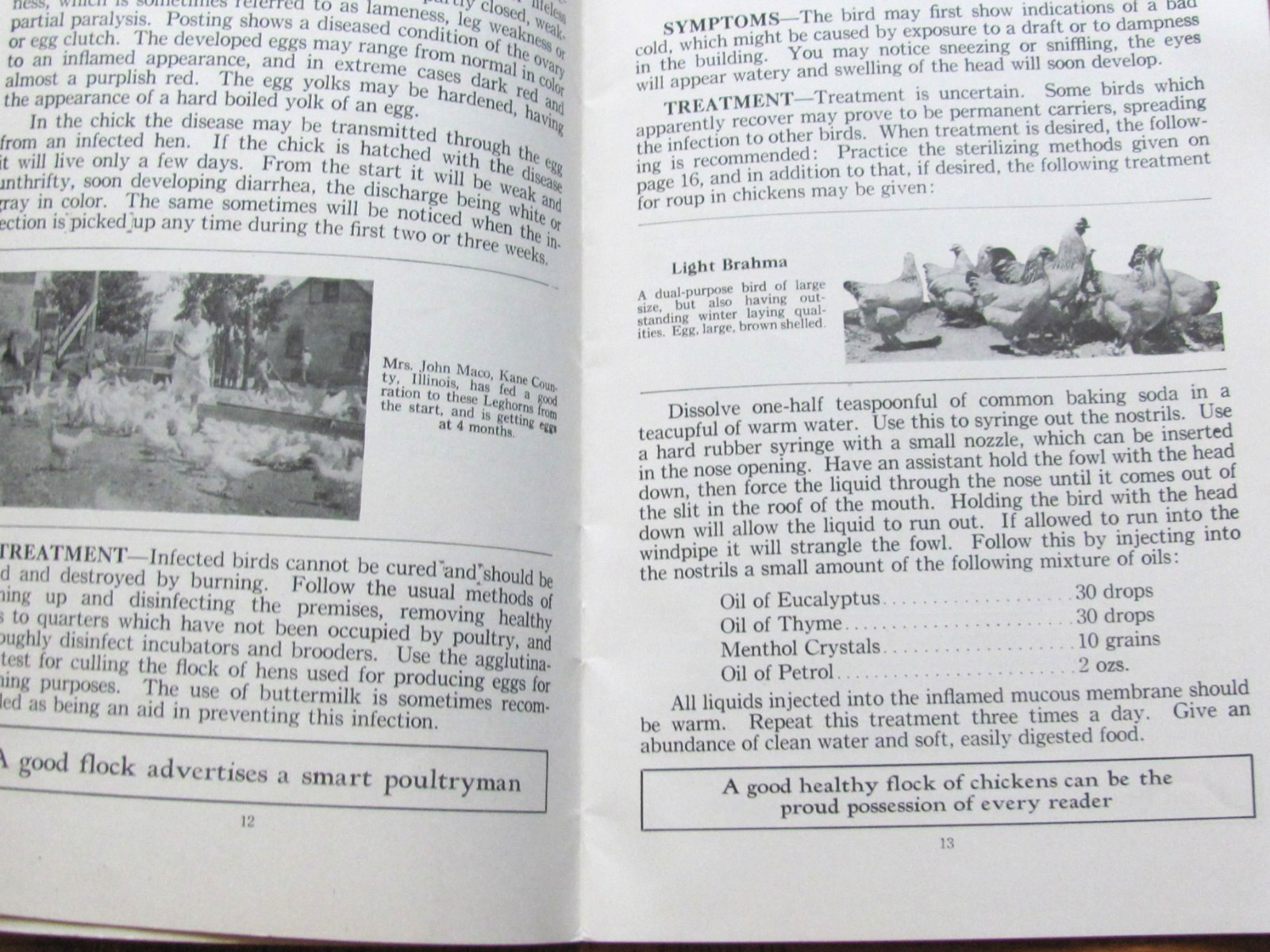 1937 MOORMAN MFG CO QUINCY BOOKLET BIG PAY FROM POULTRY FARM CHICKEN CARE INFO