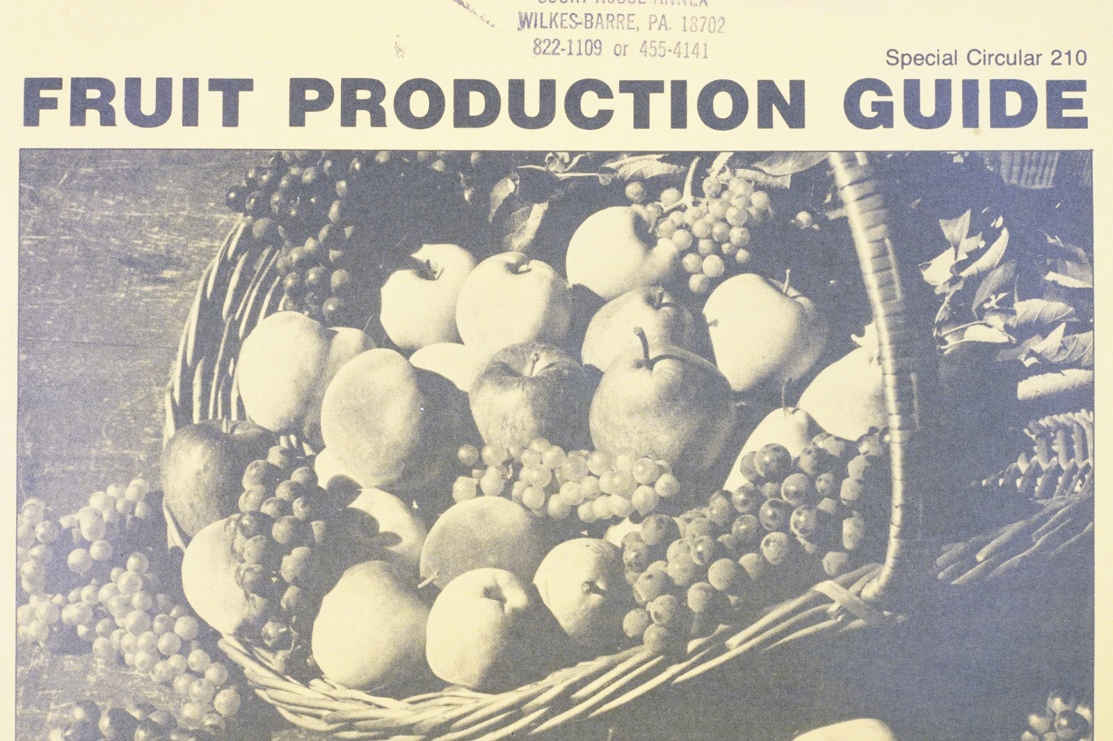 Vintage PA State Uni Fruit Production Guide Home Gardeners Agricultural Brochure