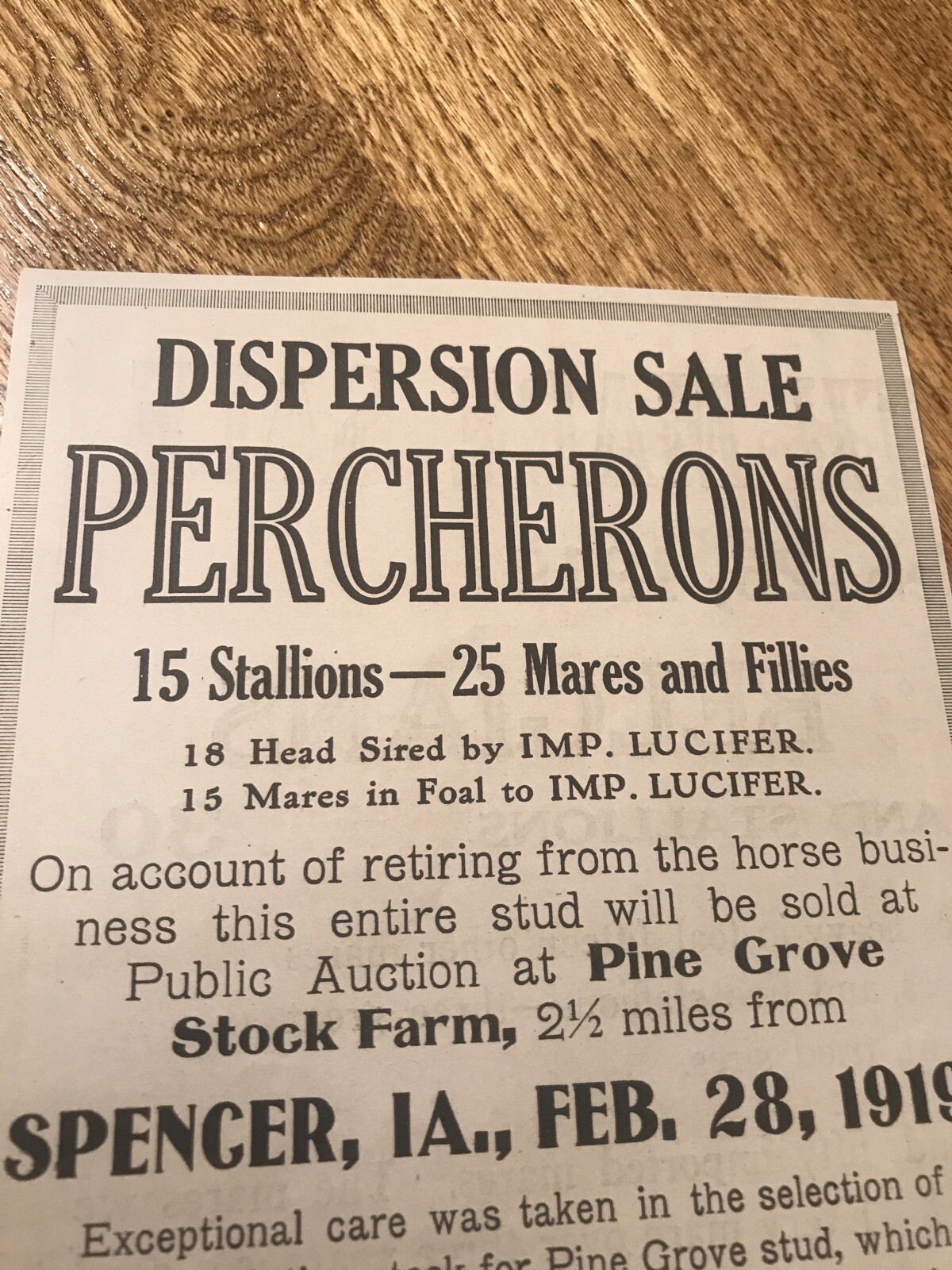 1919 Horse Public Sale – Spencer – Iowa – Farm Advertising